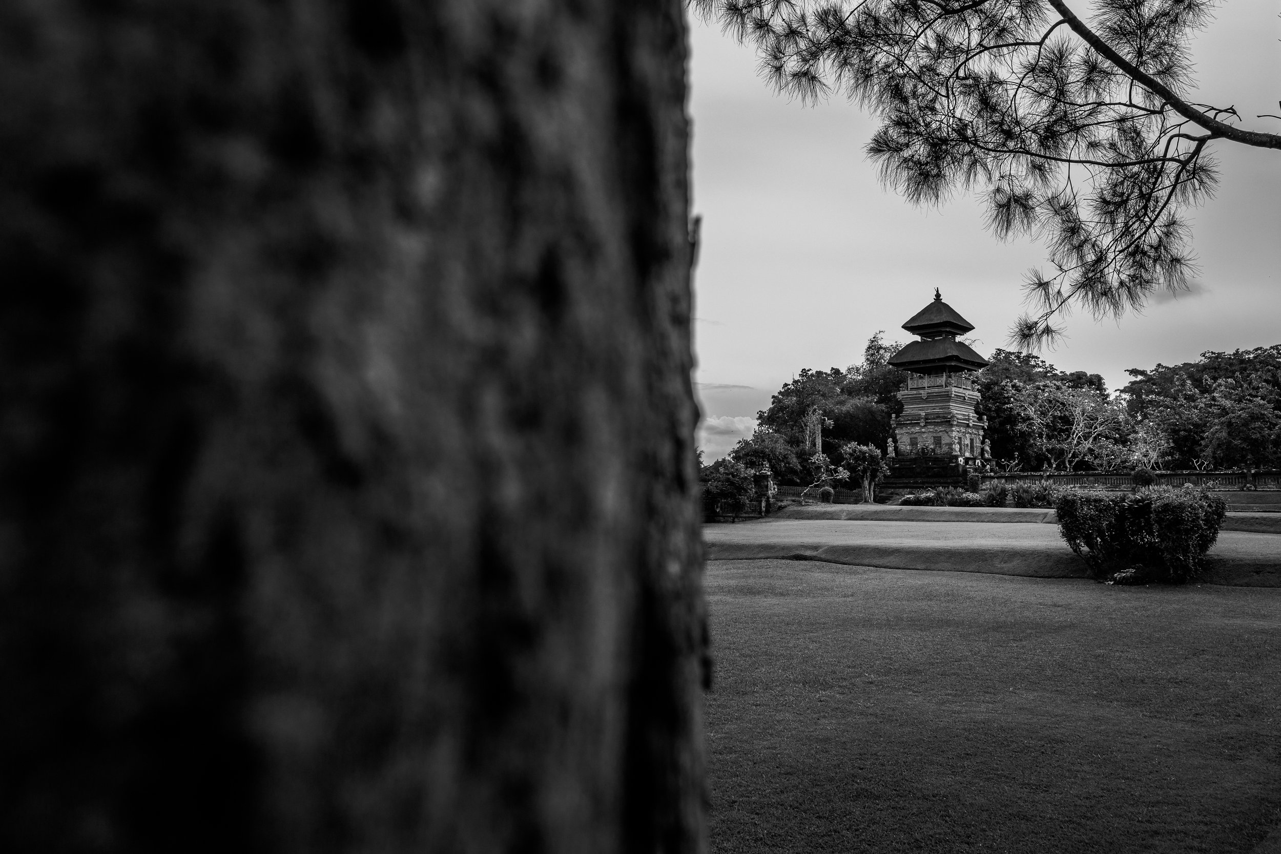 267_BaliSeries250508@KazVisuals.jpg