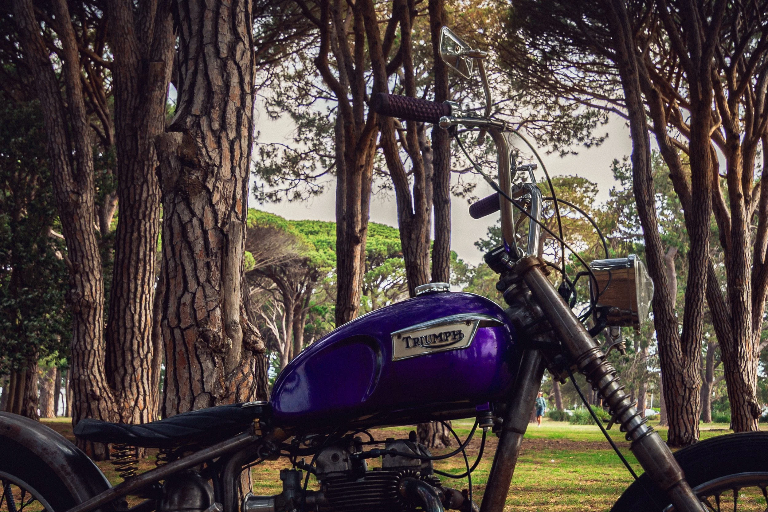 45Triumph 251113.jpg