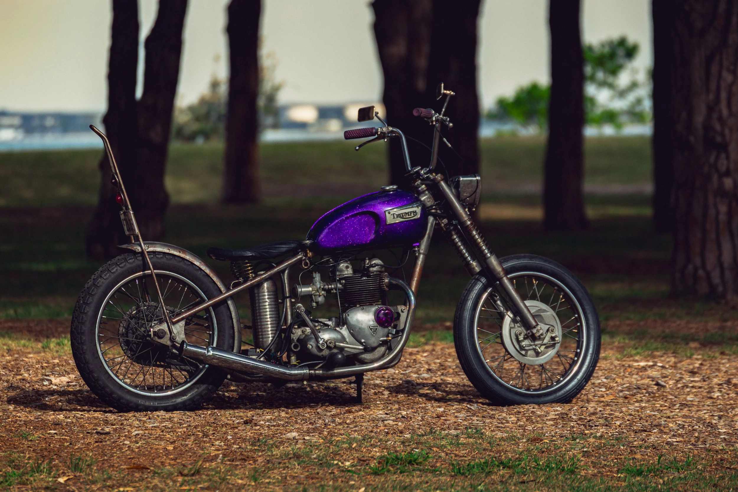 11Triumph 251113.jpg