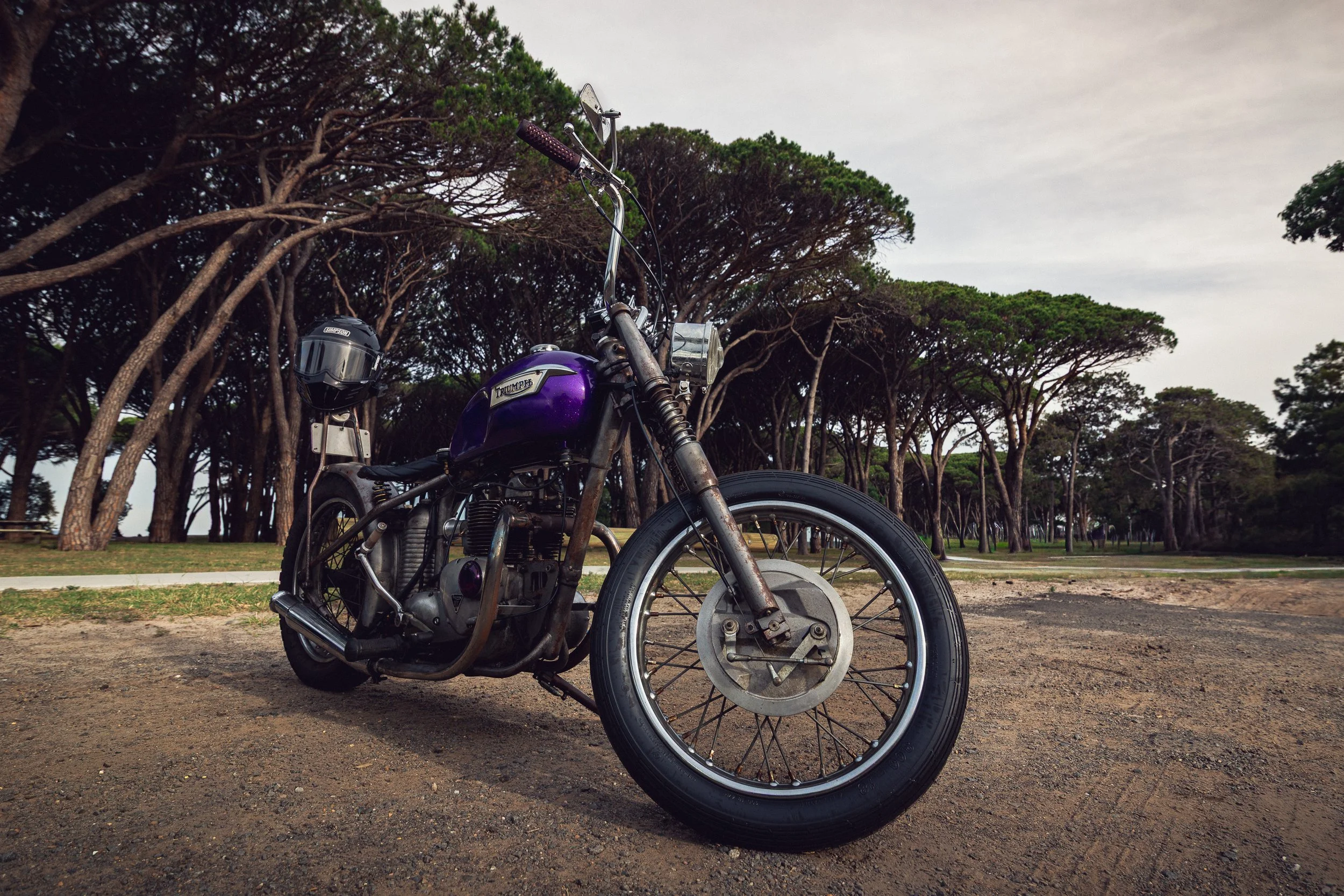 154Triumph 251113.jpg