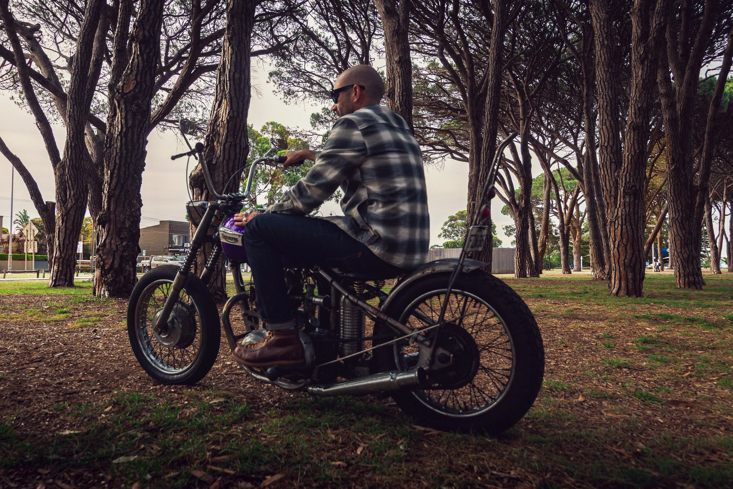 79Triumph 251113.jpg