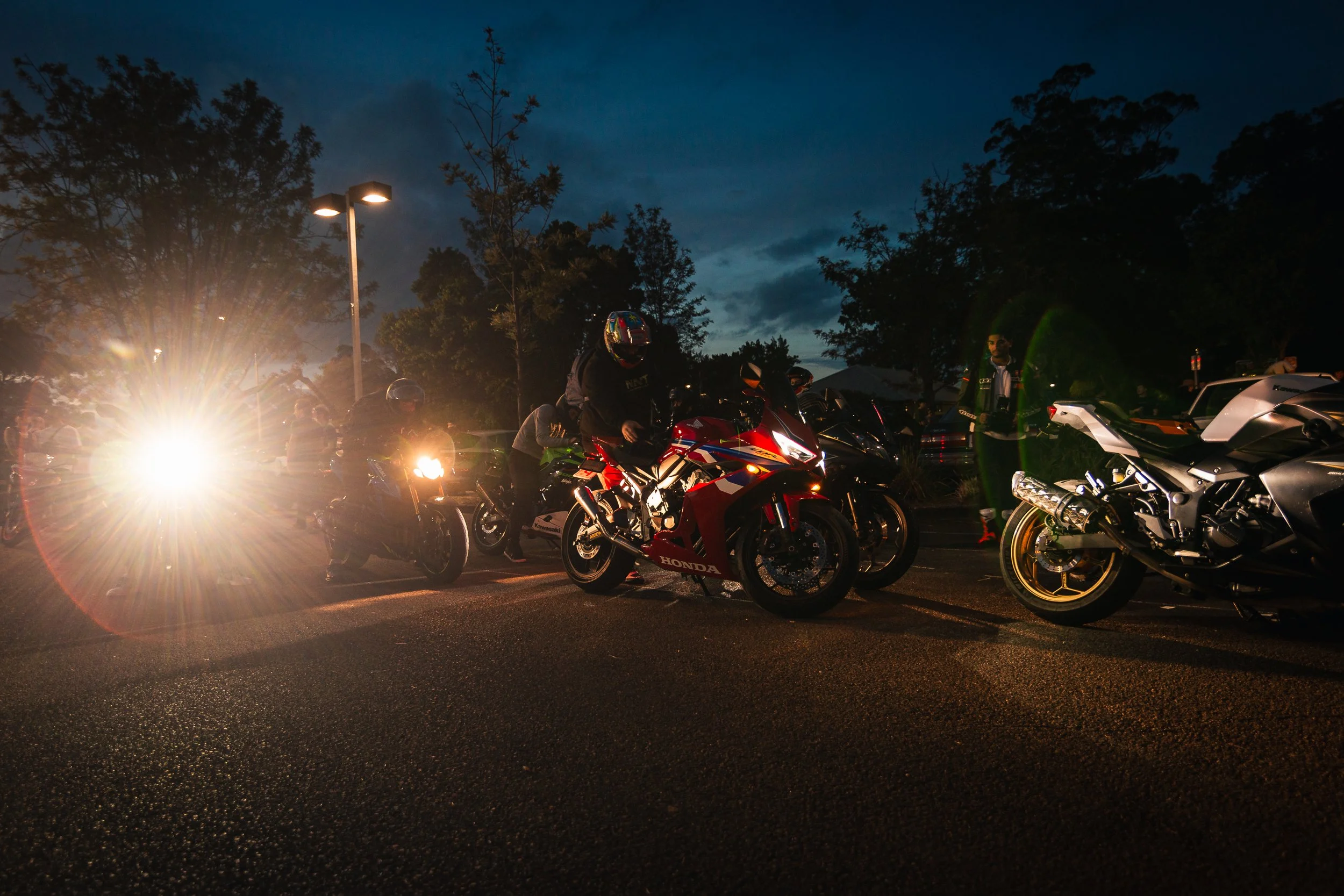 81Powerhorse 260228.jpg