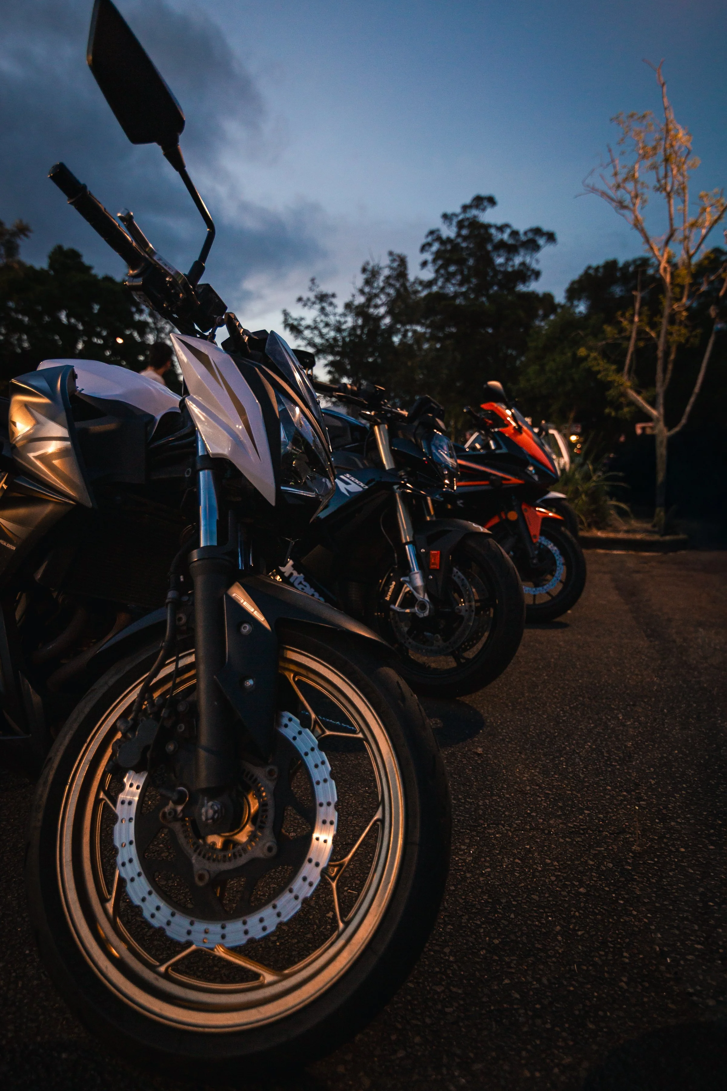 77Powerhorse 260228.jpg