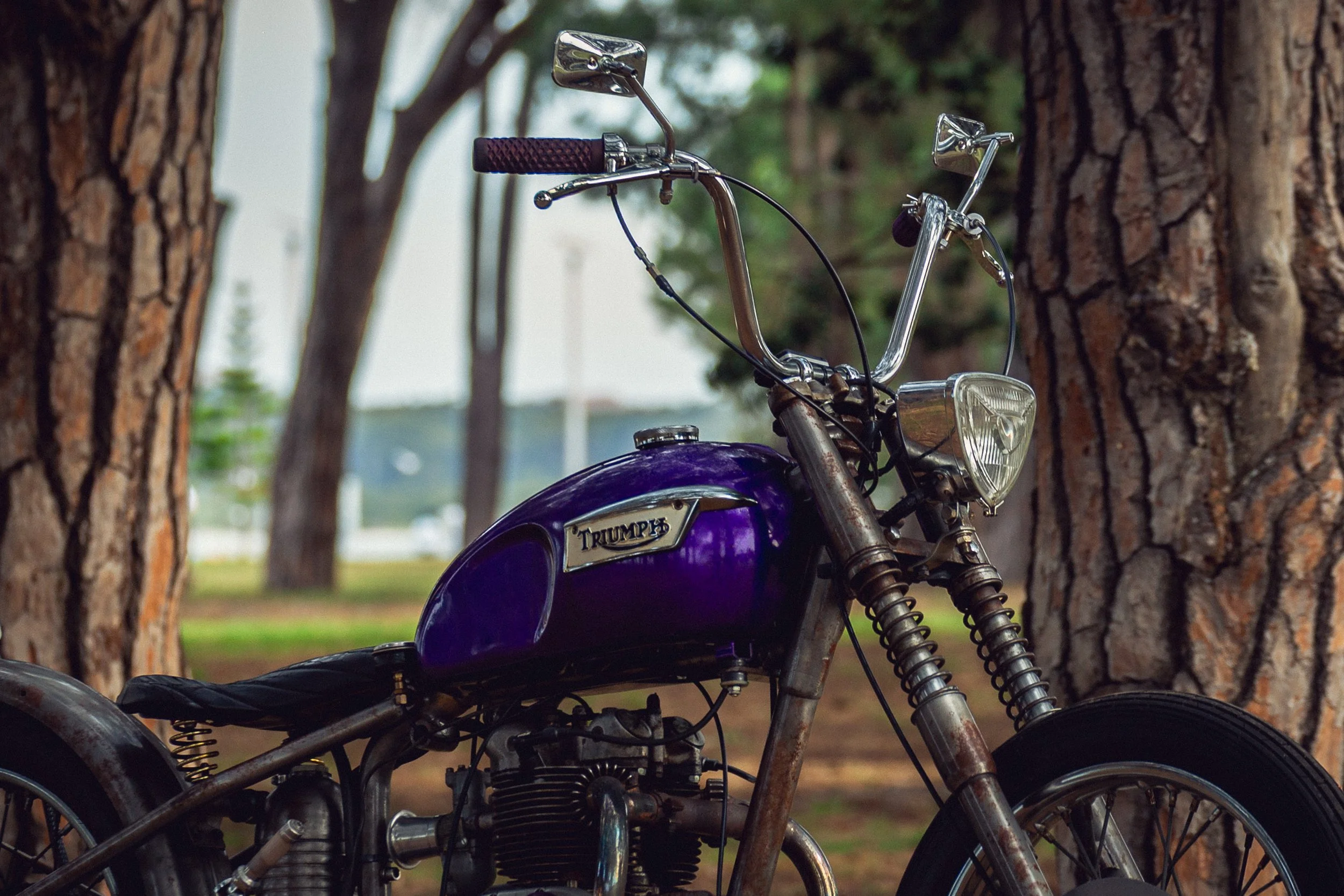 57Triumph 251113.jpg