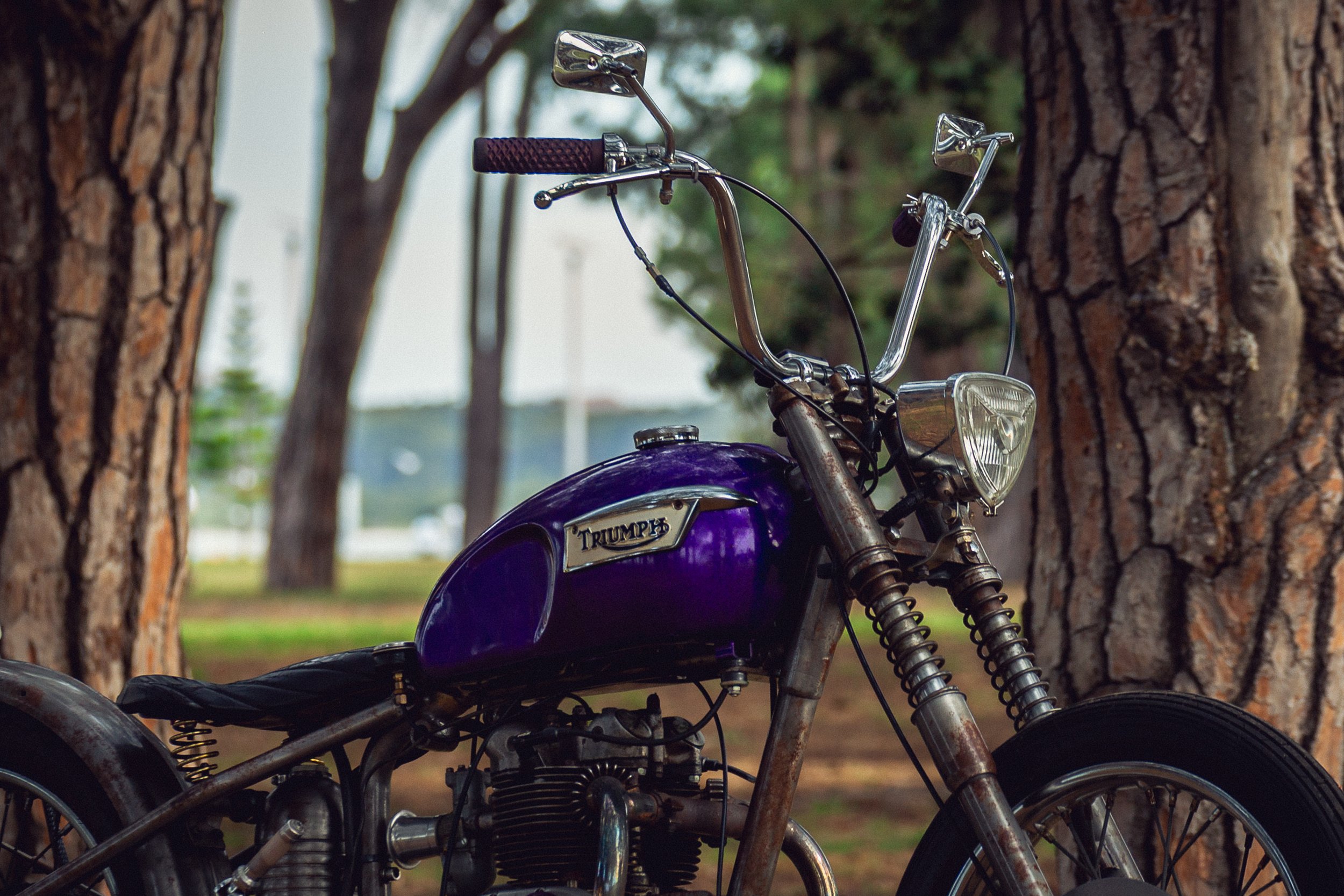 57Triumph 251113.jpg