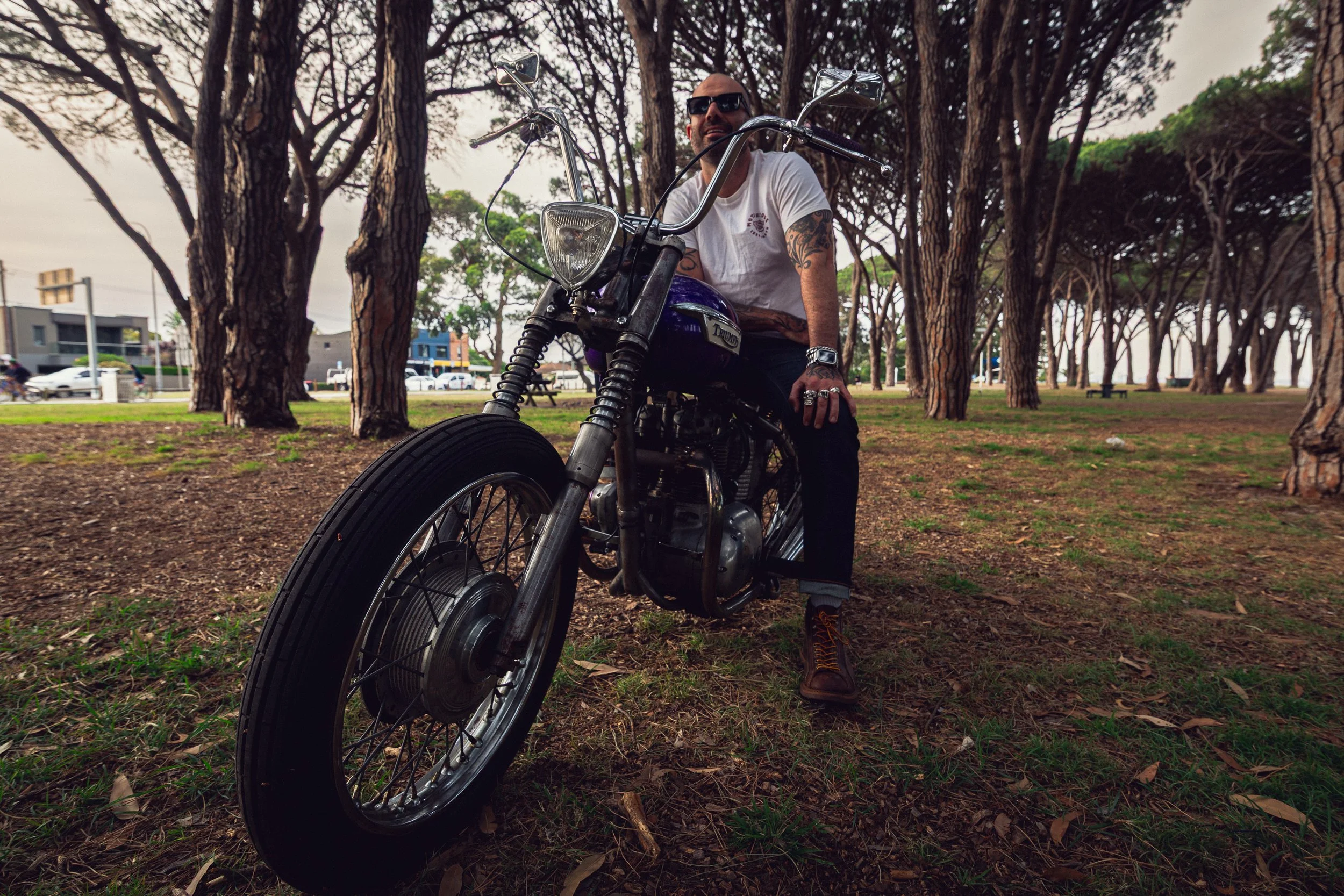 110Triumph 251113.jpg