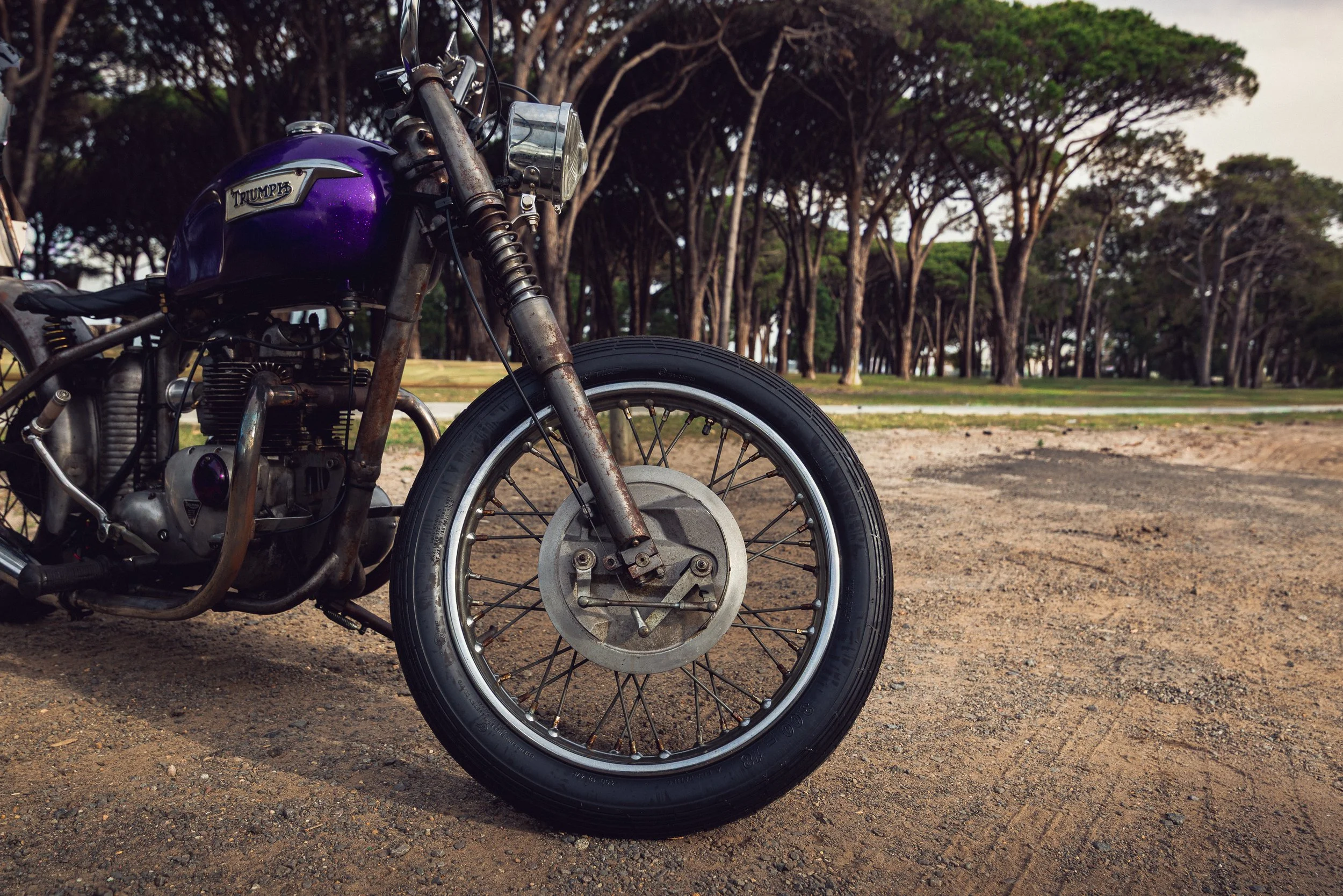 153Triumph 251113.jpg