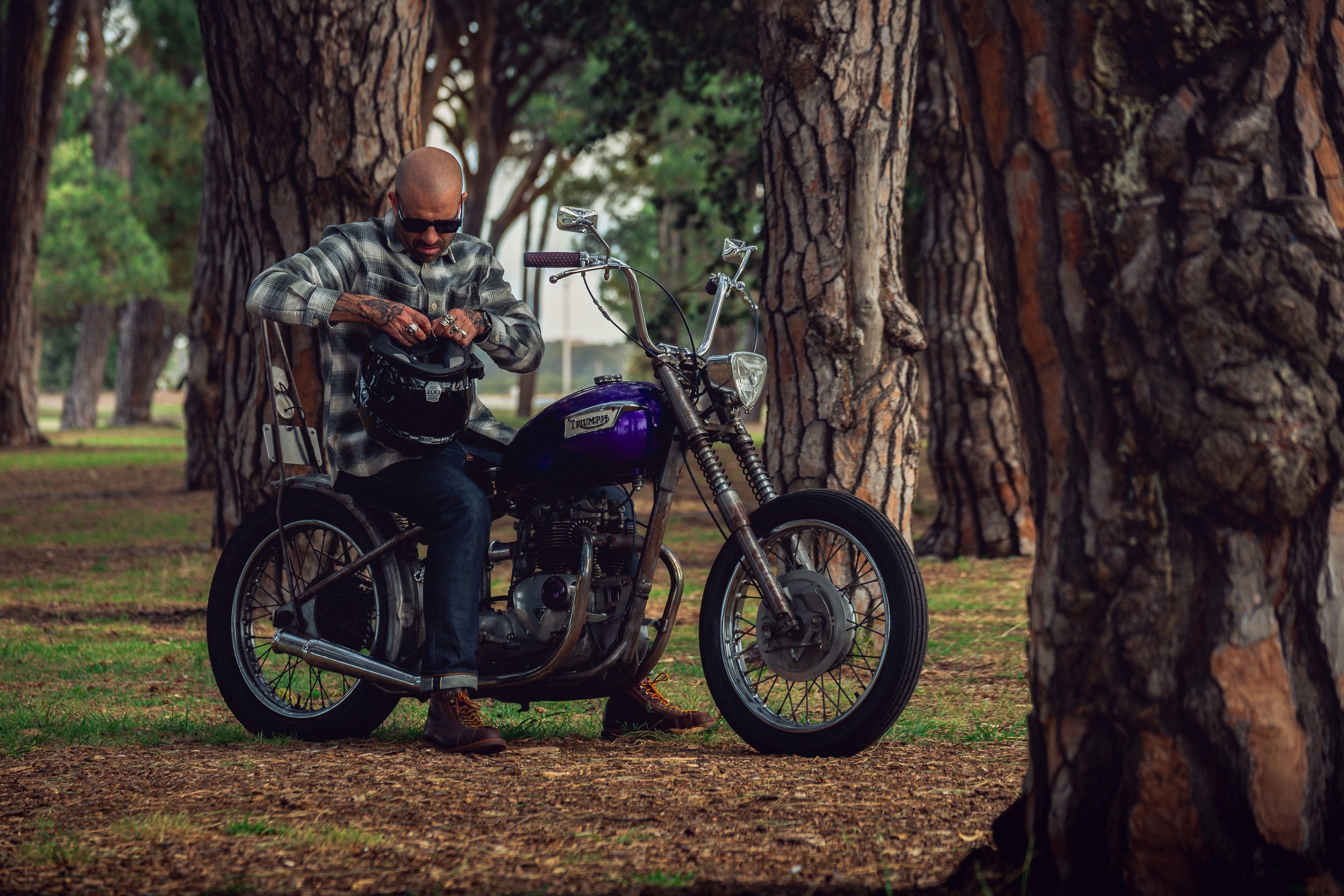 63Triumph 251113.jpg