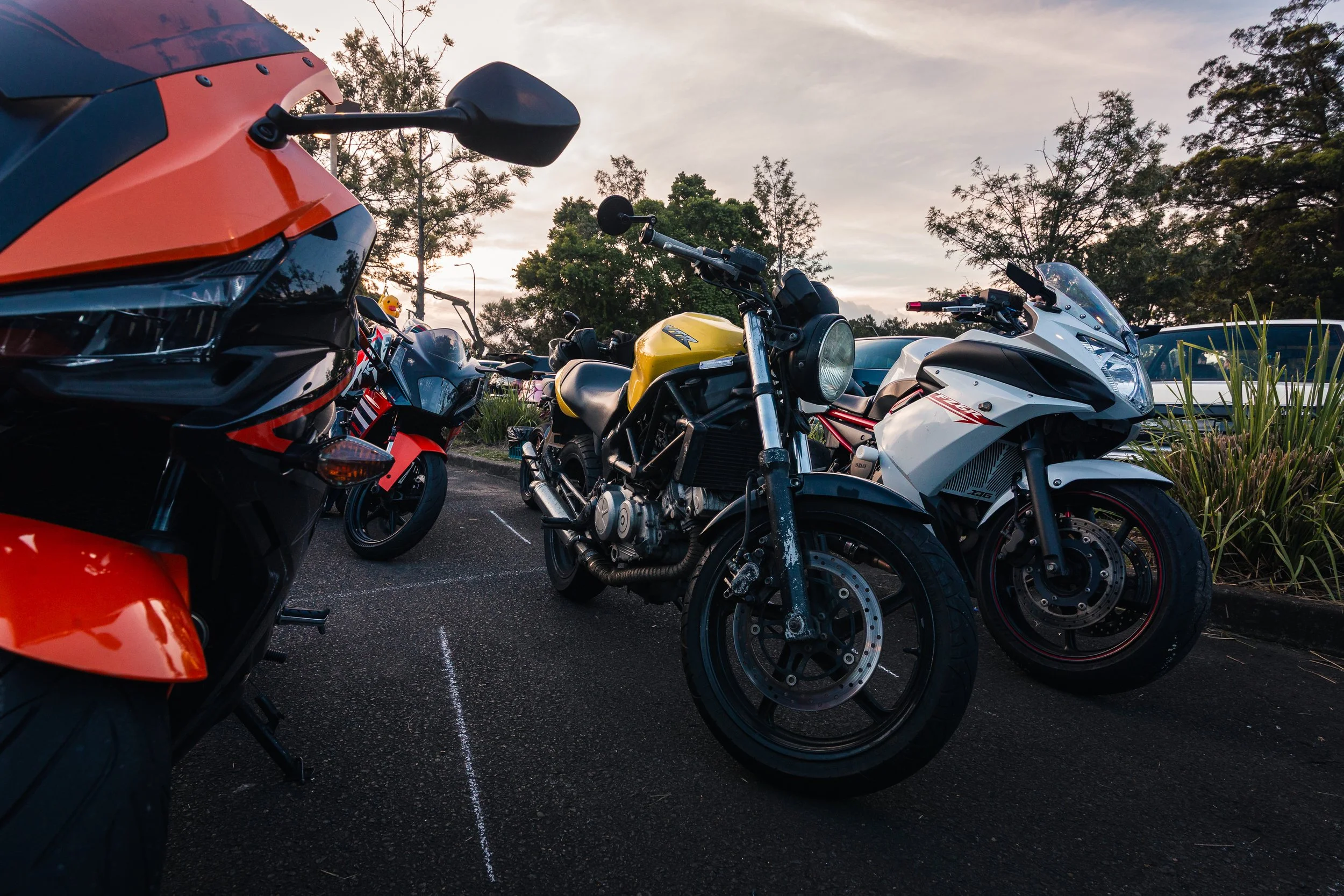 32Powerhorse 260228.jpg