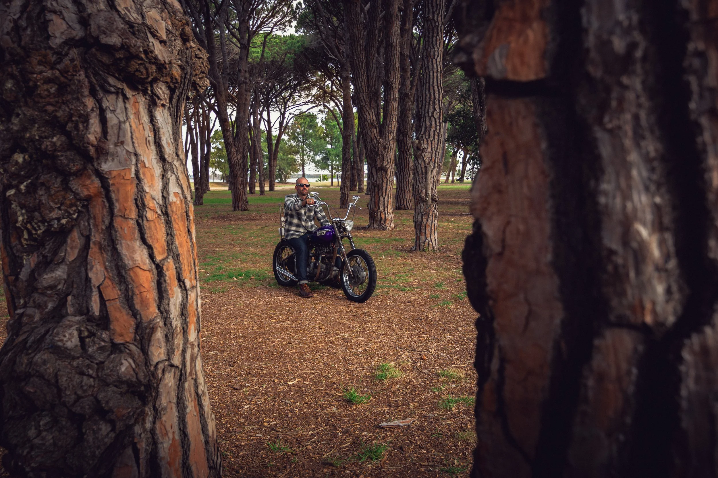 69Triumph 251113.jpg