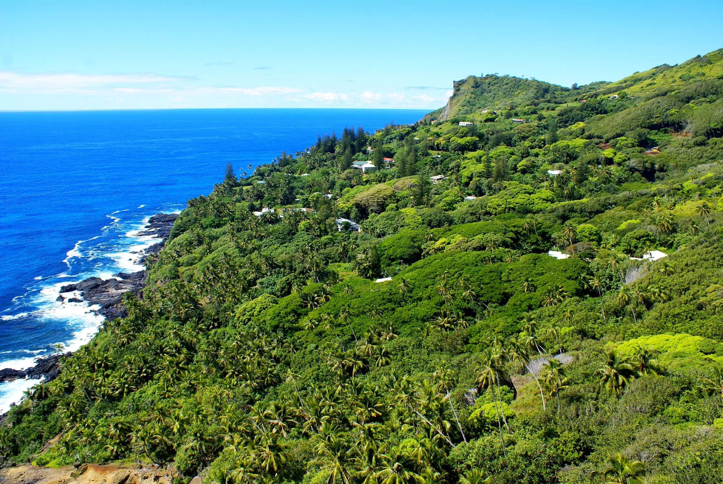 Lush green coastal landscape with trees and cliffside on Pitcairn Island, overlooking the blue ocean.