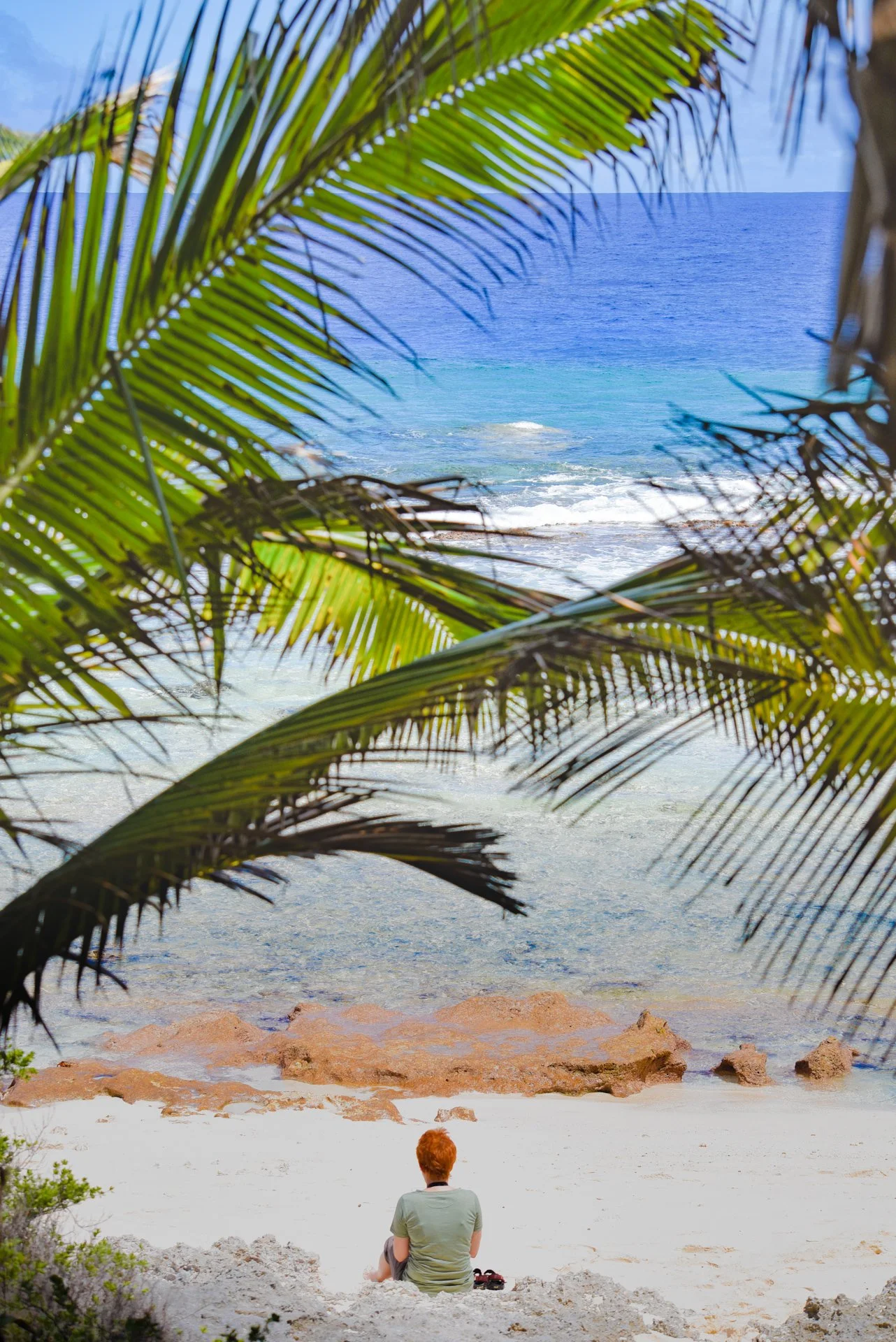 Person sitting on sandy beach under palm leaves, overlooking ocean.