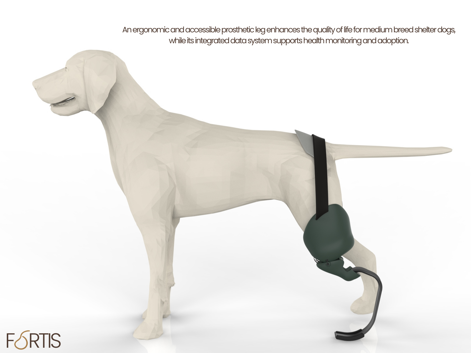 ID_DOGA_GUVEREN_4.png