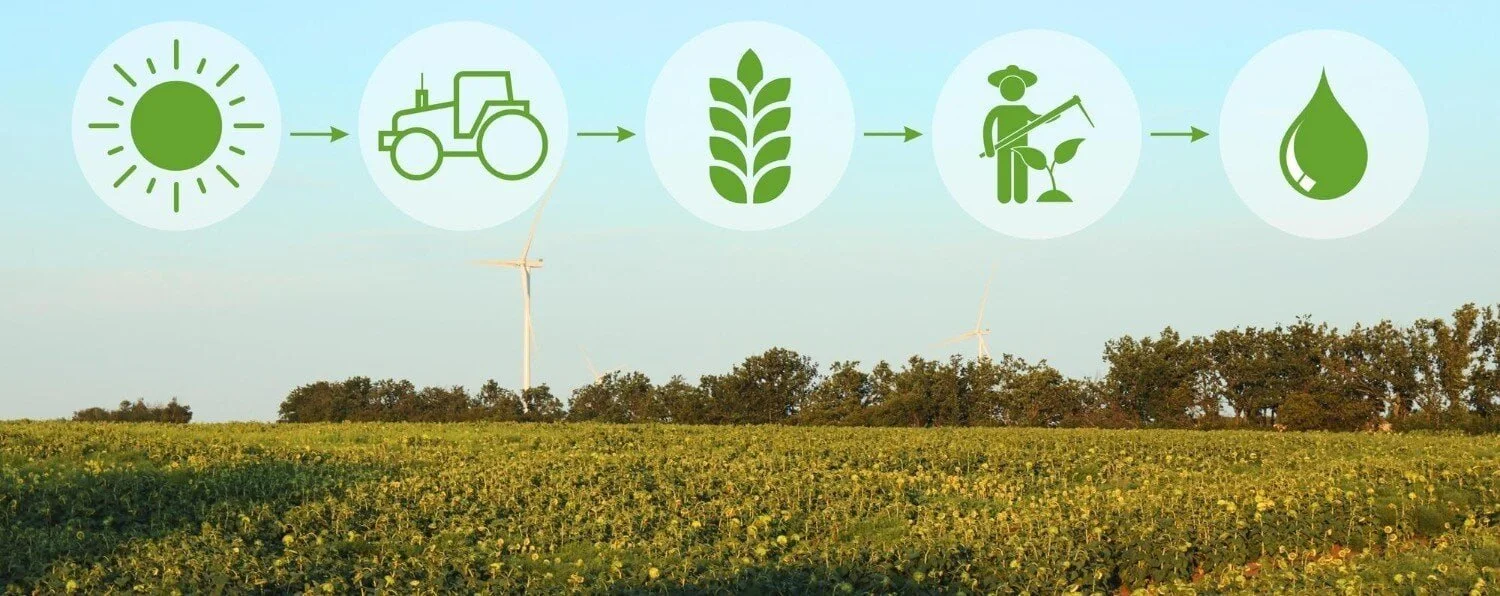 Is regenerative farming key to successful carbon markets?