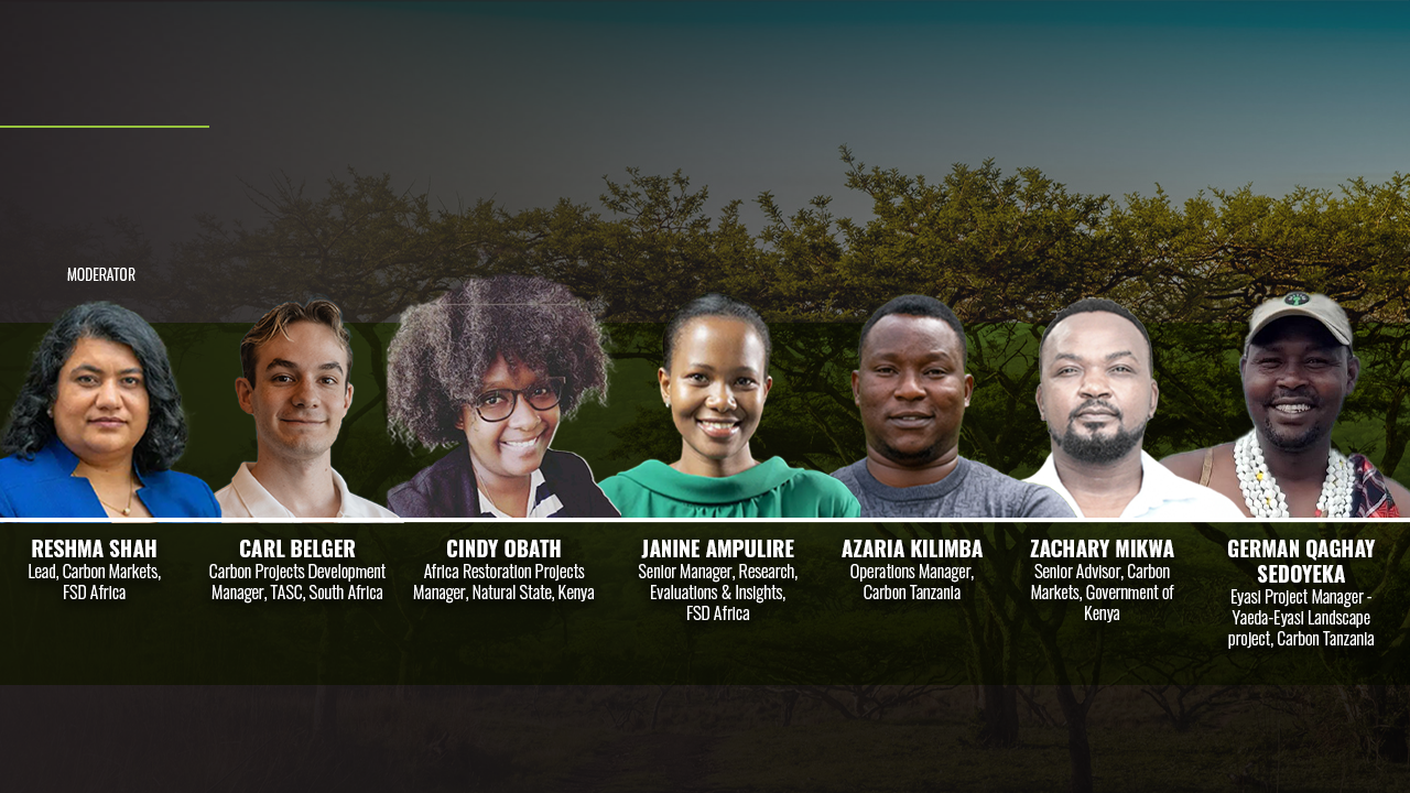 WEBINAR WRAP-UP: Beyond Carbon Credits