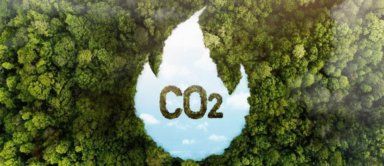 Carbon credits: “Hard work, grit and determination” required