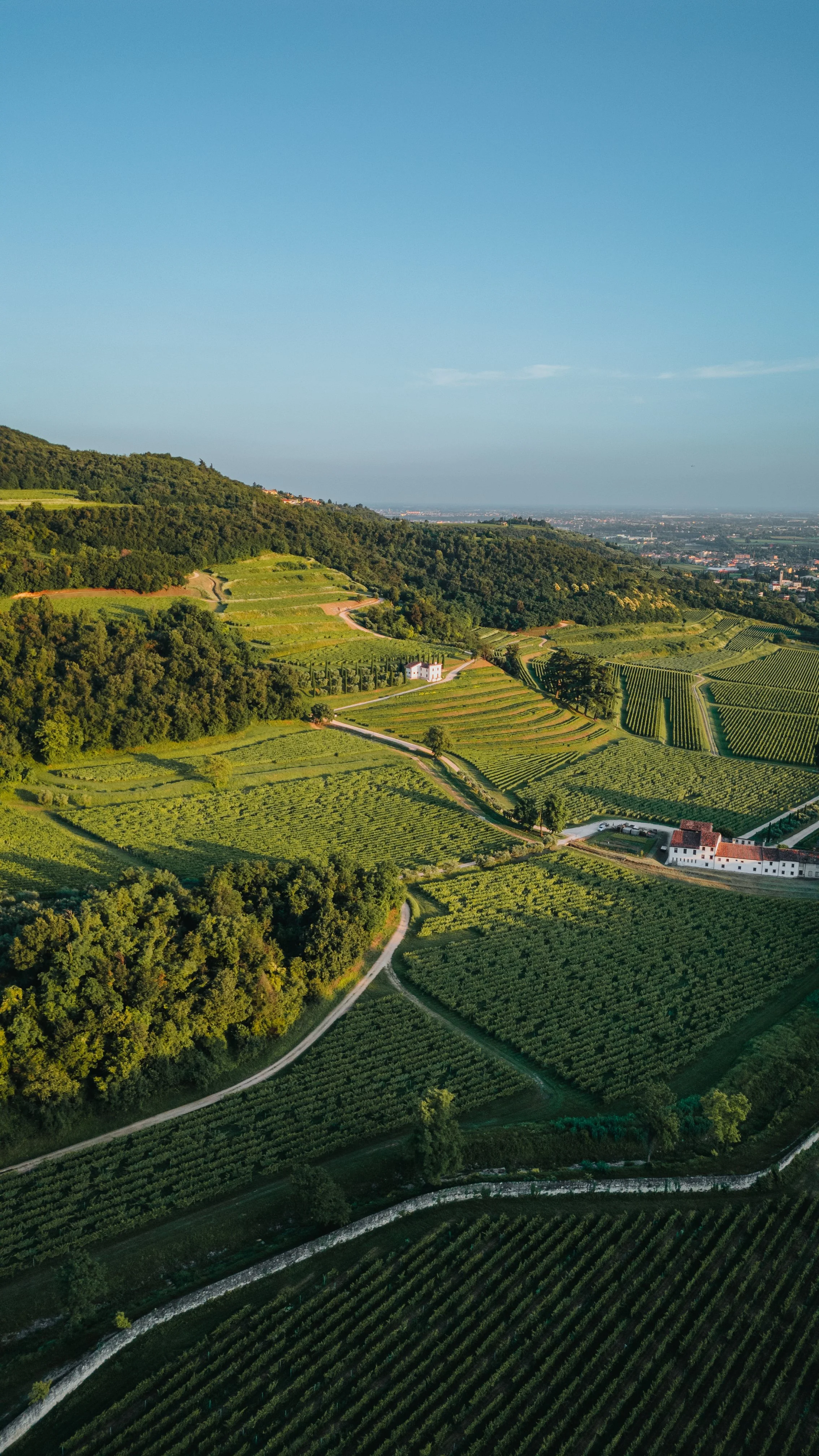 DJI_0618.jpg