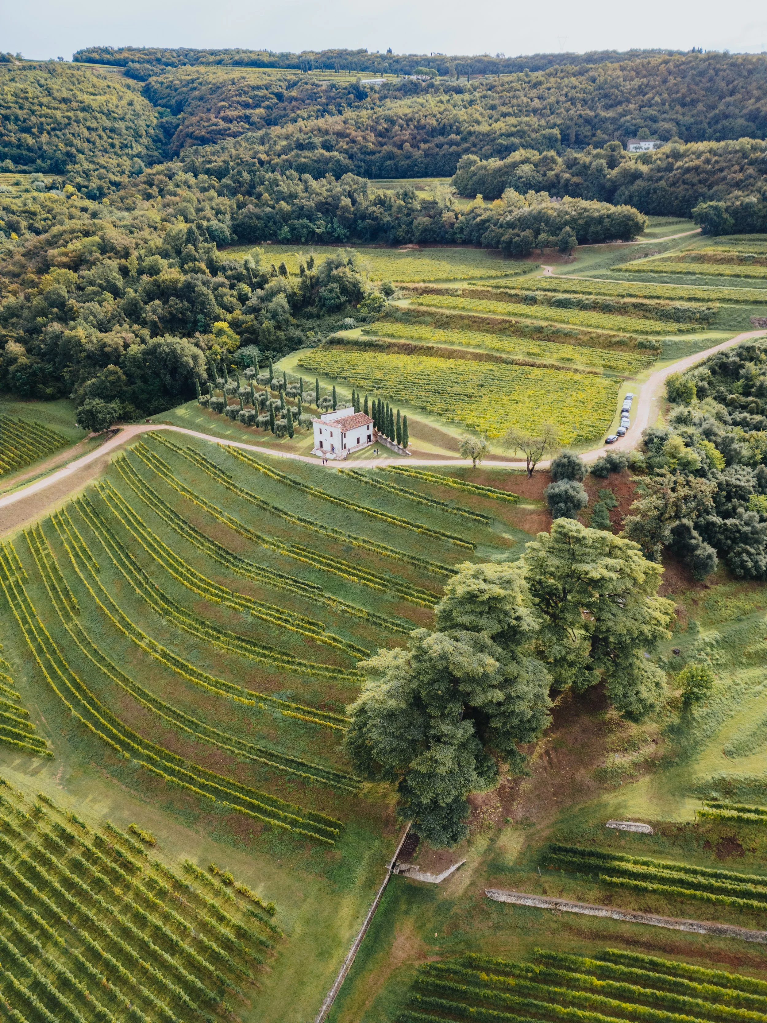 DJI_0183.jpg