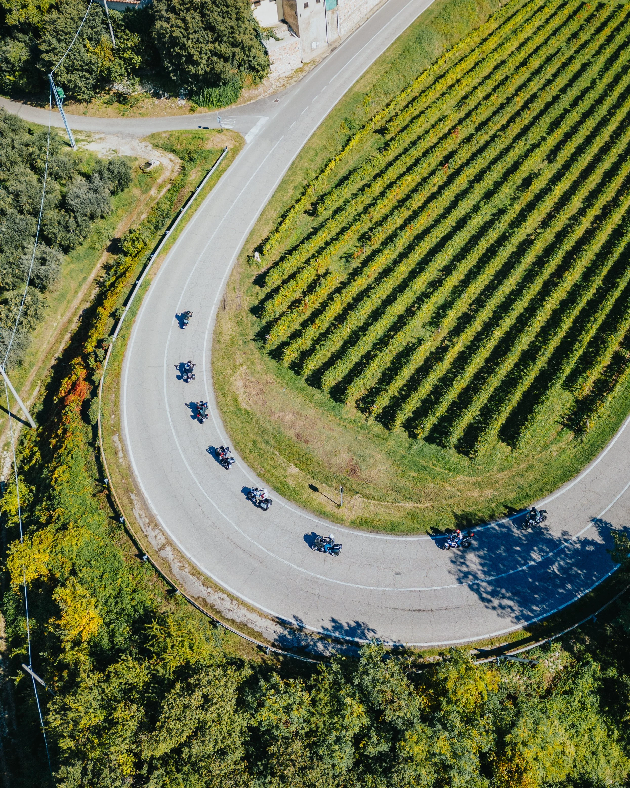 DJI_0440.jpg