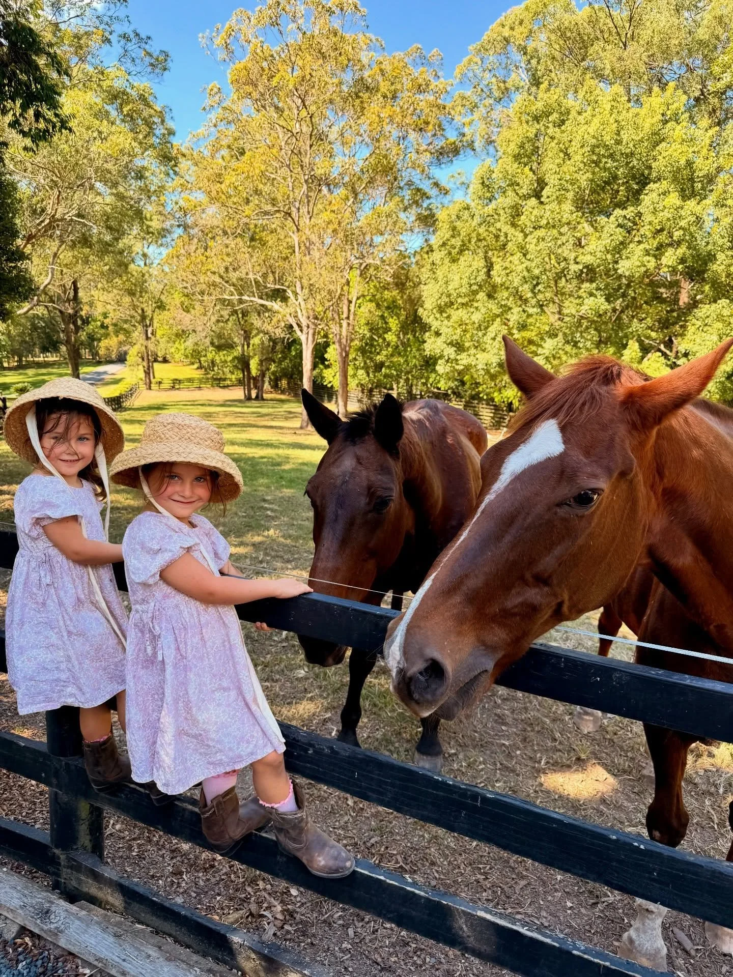 Farm Day! We painted, flew kites and spent time with friendly farm animals. What a fun day of fresh air, nature play, and lots of smiles &amp; laughter 🐴💚🐮