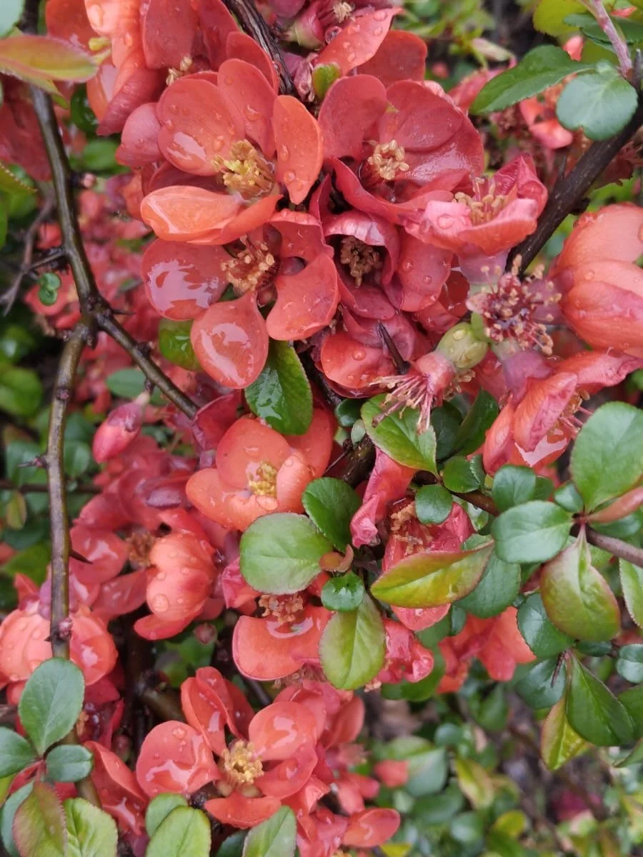 25-03-2026
Heute sind wir an den Standorten unserer diesj&auml;hrigen Tour auf Spurensuche gegangen. Habt ihr Ideen, wo wir die Bilder aufgenommen haben? Das Ganze haben wir aber nicht umsonst gemacht. @margarete.zander ist n&auml;mlich gerade wieder