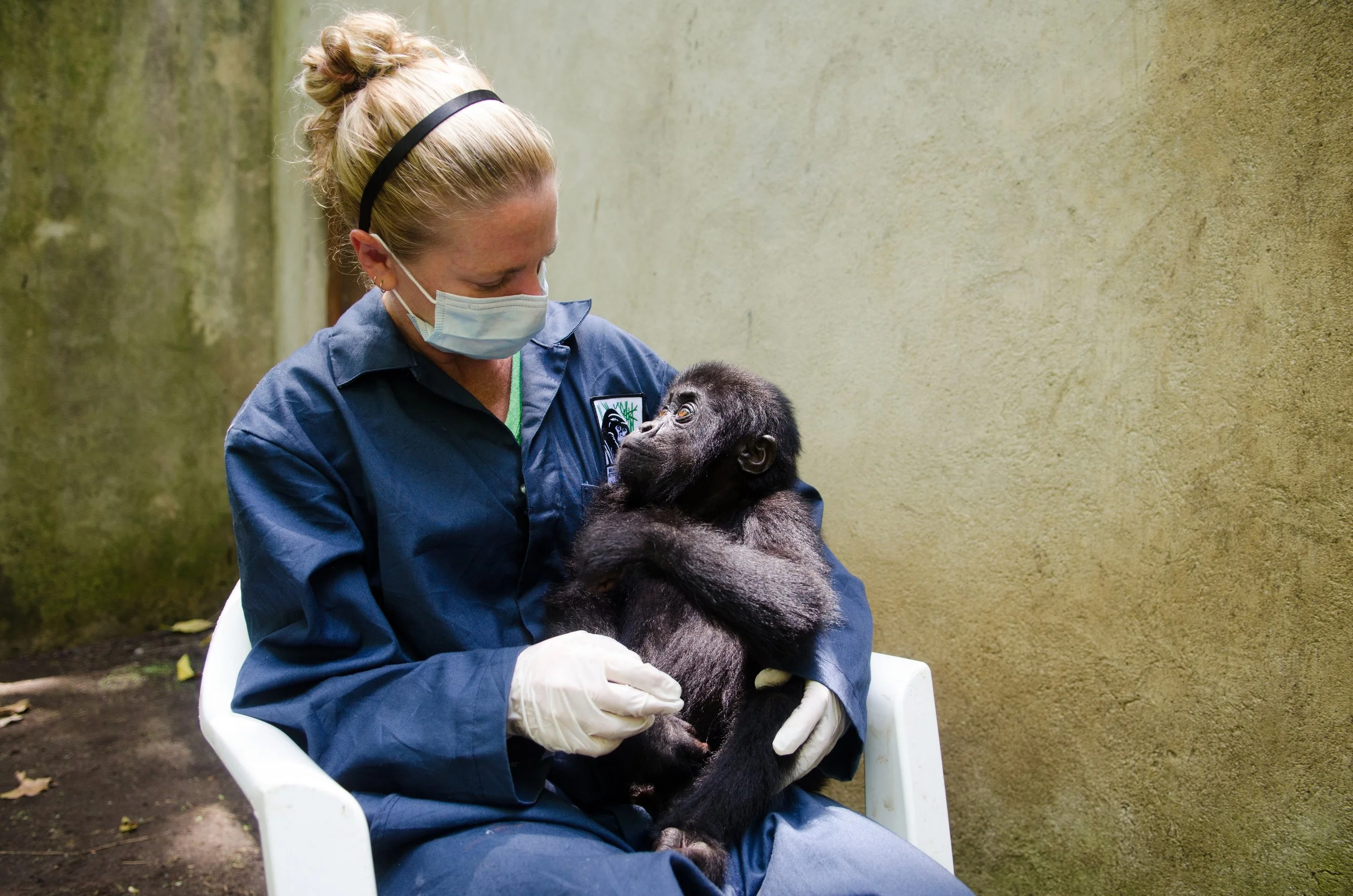 Dr. Dawn Zimmerman