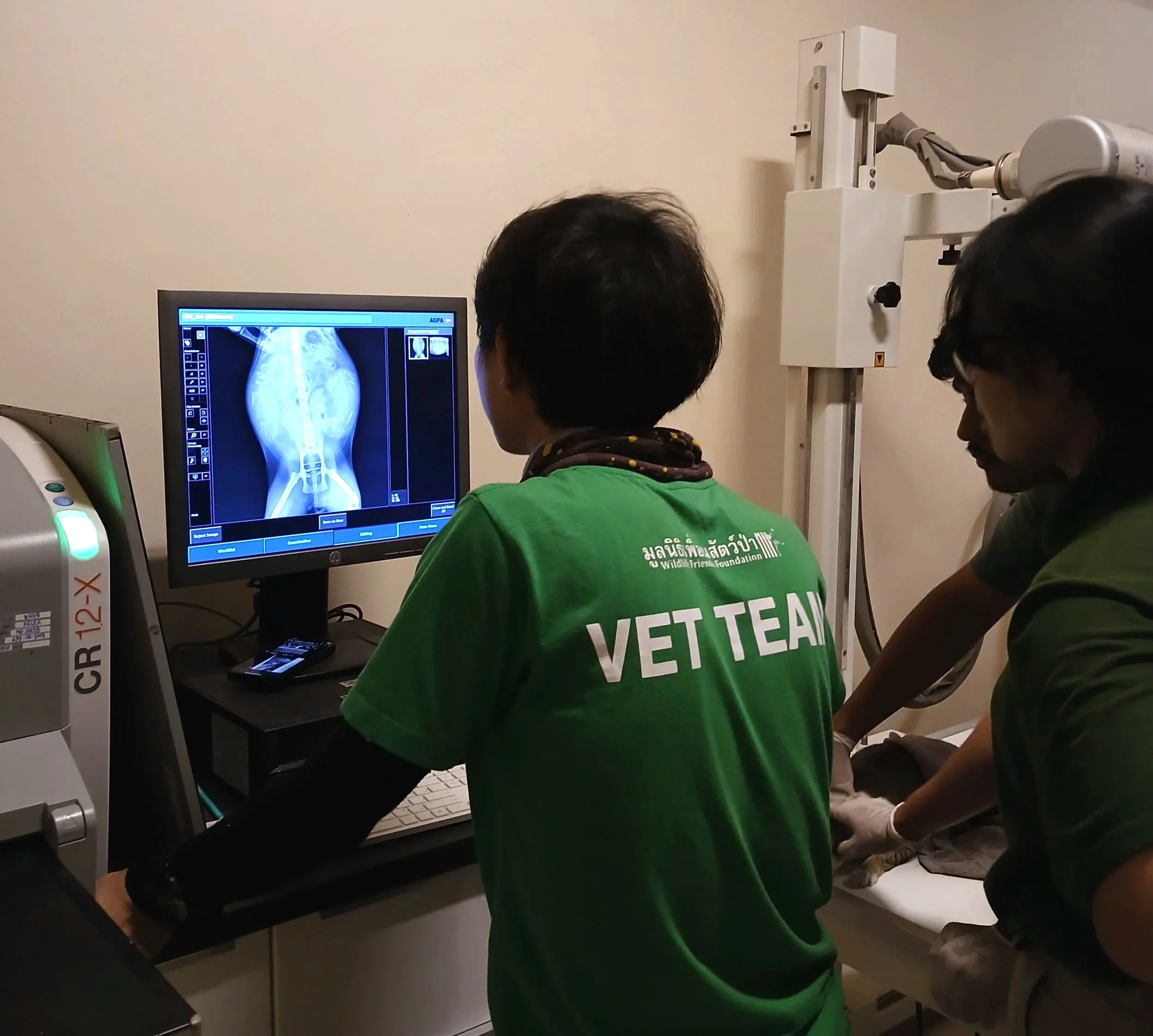 Veterinarians examining an animal X-ray on a computer screen in a clinic.