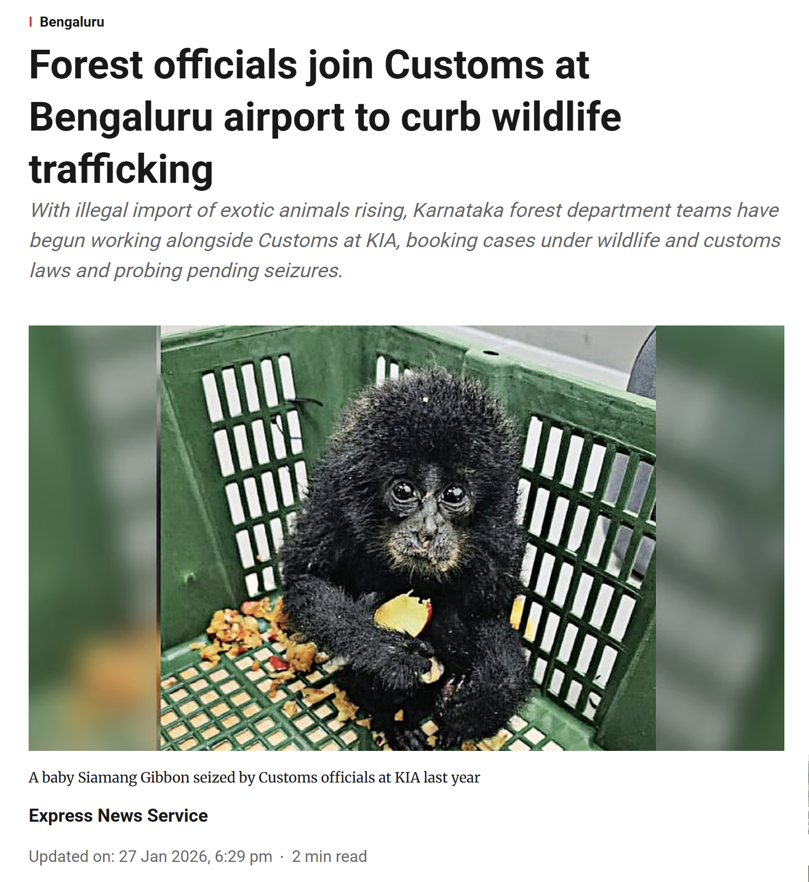 Screenshot 2026-02-01 152624.png