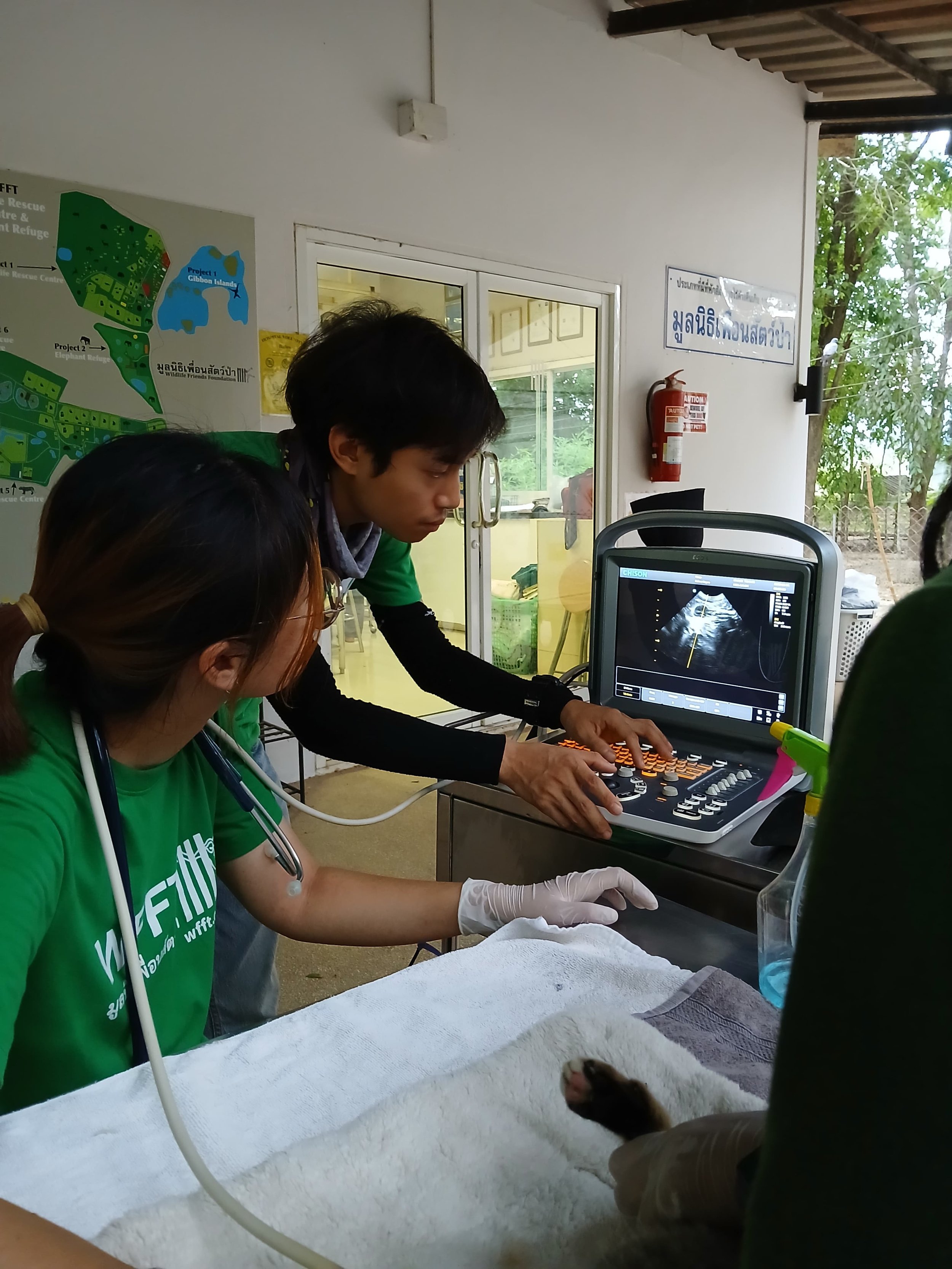 Veterinarians conducting an ultrasound on a small dog in a veterinary clinic.
