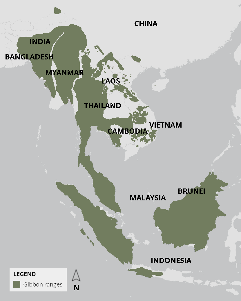 Map of Southeast Asia showing countries within the Gibbon ranges, including India, Bangladesh, Myanmar, Laos, Thailand, Cambodia, Vietnam, Malaysia, Brunei, Indonesia, and China.