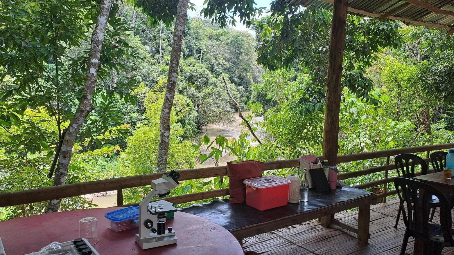 An outdoor deck overlooking a dense, lush jungle with a river in the background. The deck has a table with scientific equipment, bags, bottles, and chairs.