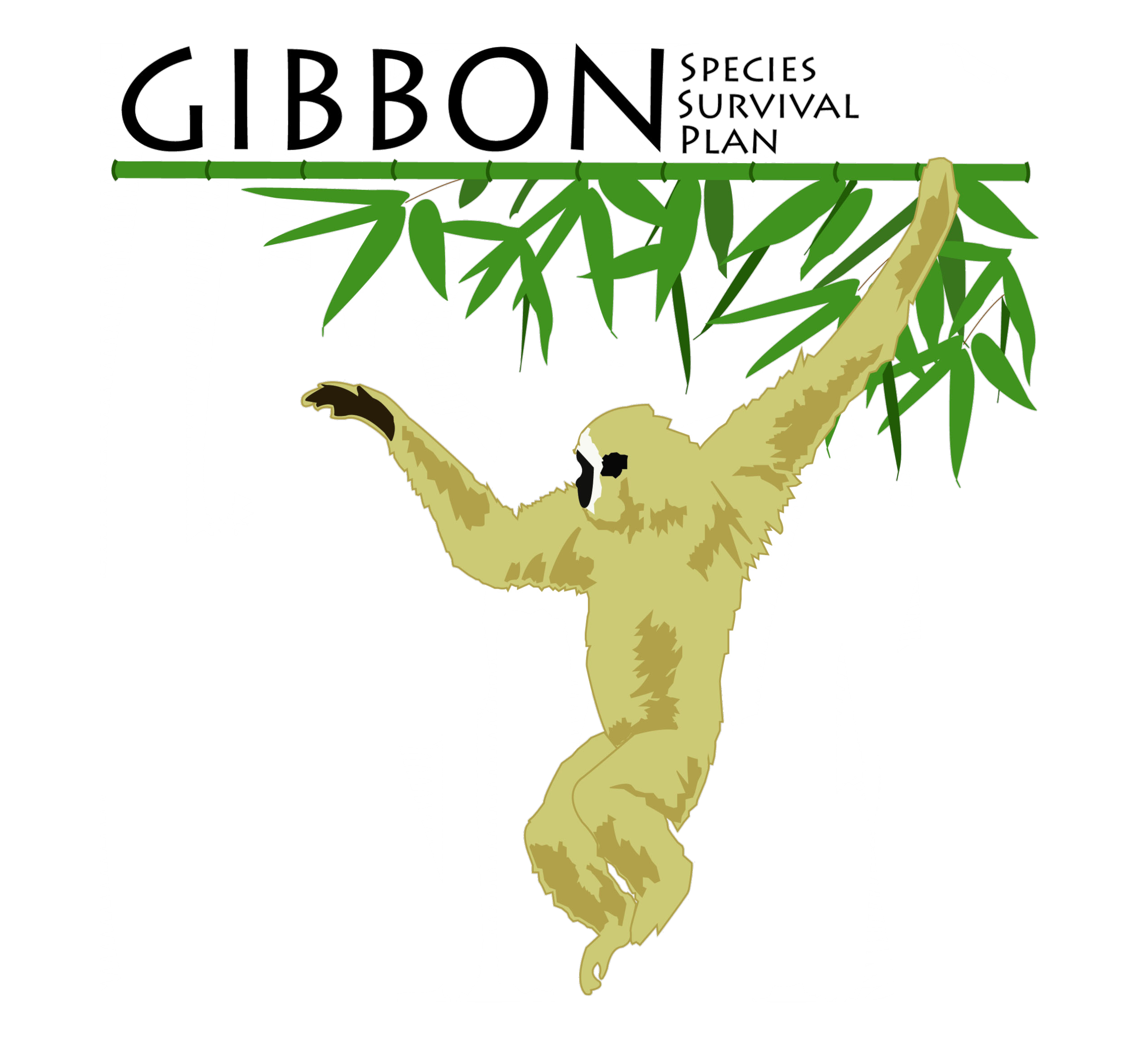 Illustration of a gibbon hanging from a tree branch with green bamboo leaves, along with text that reads 'Gibbon Species Survival Plan'.