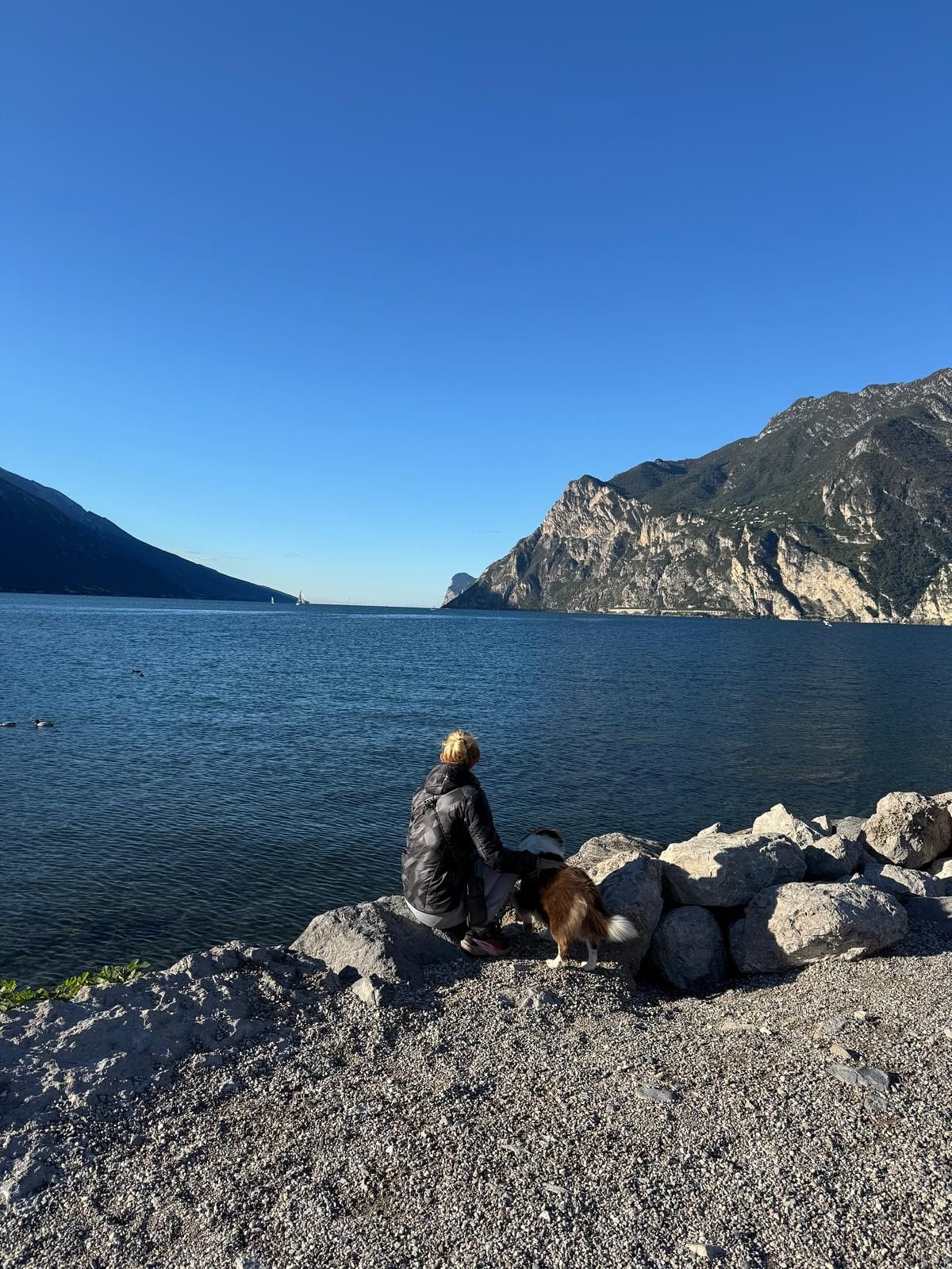 Last week @dein_gesundheitswerk 📺

1. Seezeit 🫶🏻
2. Buszeit 🤩
3. Noch mehr Seezeit
4. Yoga queen 👑 
5. 💚
6. Diese Stimmung ✨
7. Anderer Lago
8. Kulturprogramm ✨
#deingesundheitswerk #lebenistsch&ouml;n