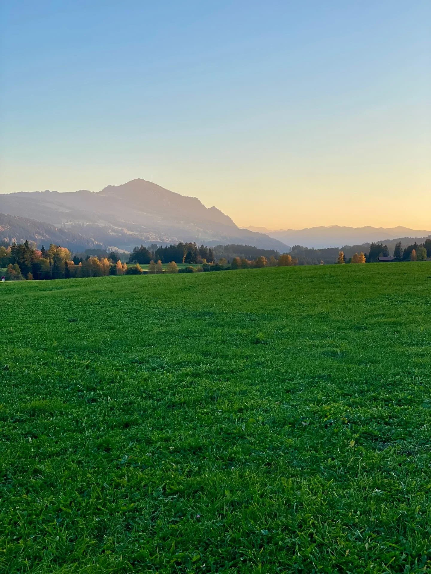 Last week (&amp; the week before) @dein_gesundheitswerk 📺

Lieber sp&auml;t als nie 🙊

1. Lieblingszuhause
2. Lucy 🤝 M&auml;use jagen 
3. Allg&auml;u kitsch 
4. Horizont erweitern 
5. Halo
6. Italiano Abend 
7. Word. 
8. Finallyyy 🥳
9. Herbst im 