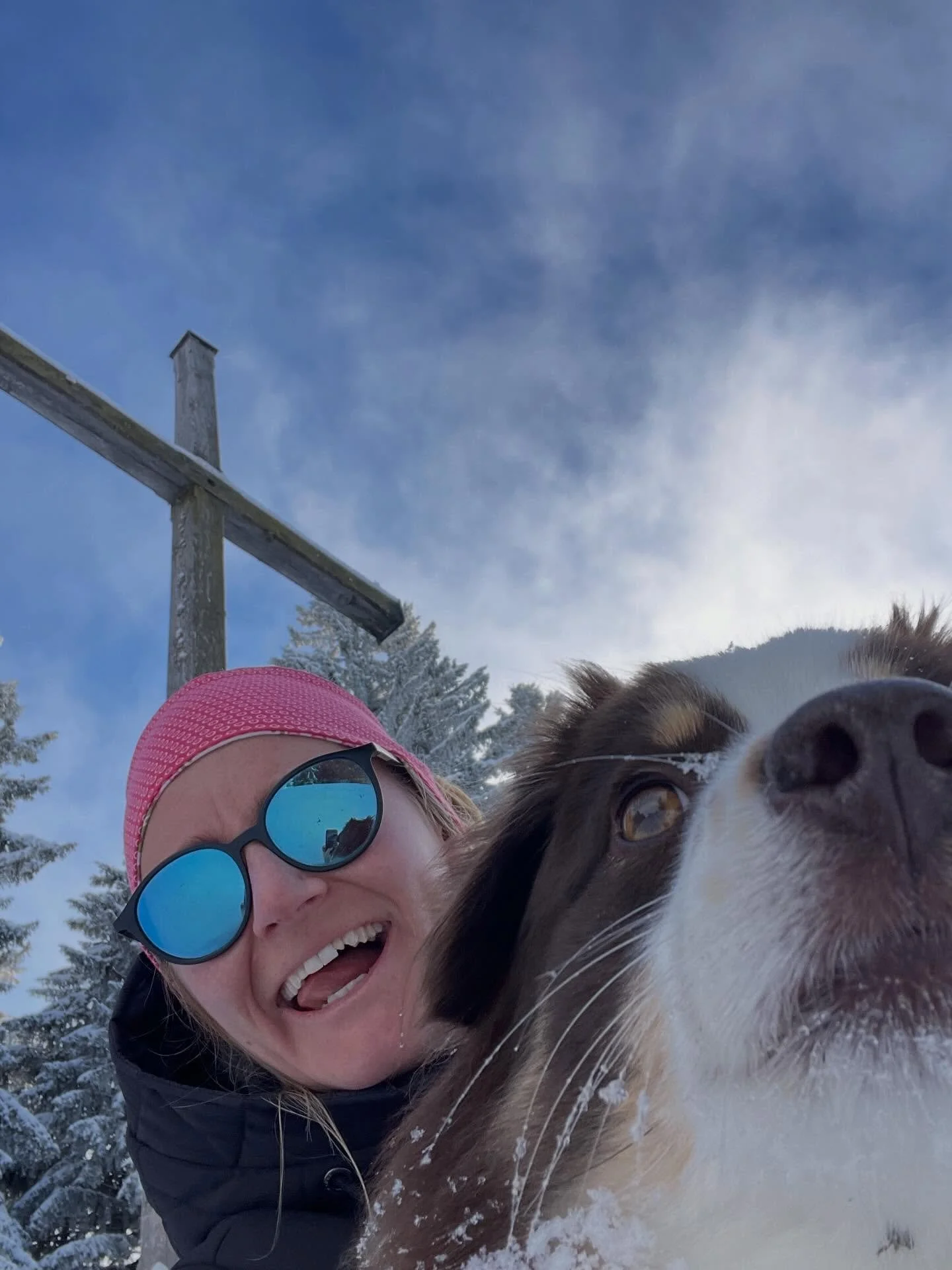 Life lately 🫶🏻
1. Schnee, Hund und Gesicht in einem Selfie: unm&ouml;glich 
2. Winter wonderland 
3. Chillen 
4. Fr&uuml;hling an die Wand streichen 
5. Healthyyyy foodie 😍
6. 1m Neuschnee 🤝 liftln 
7. Winter verabschieden.. wei&szlig; nicht ob i