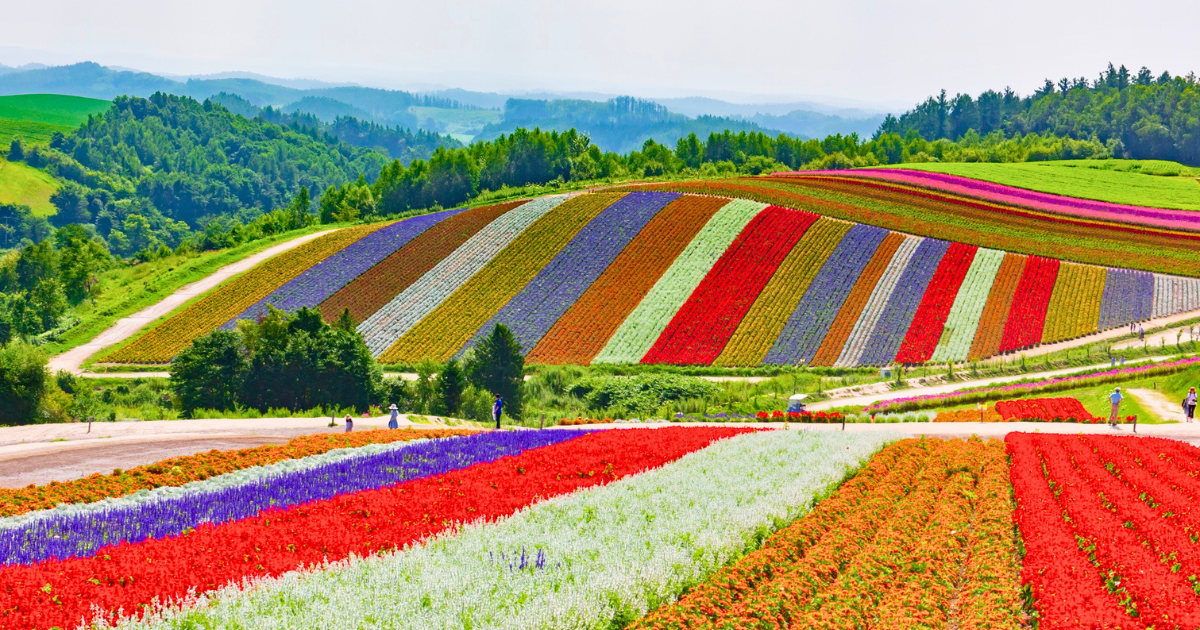 The Best Time To Visit Japan By Season