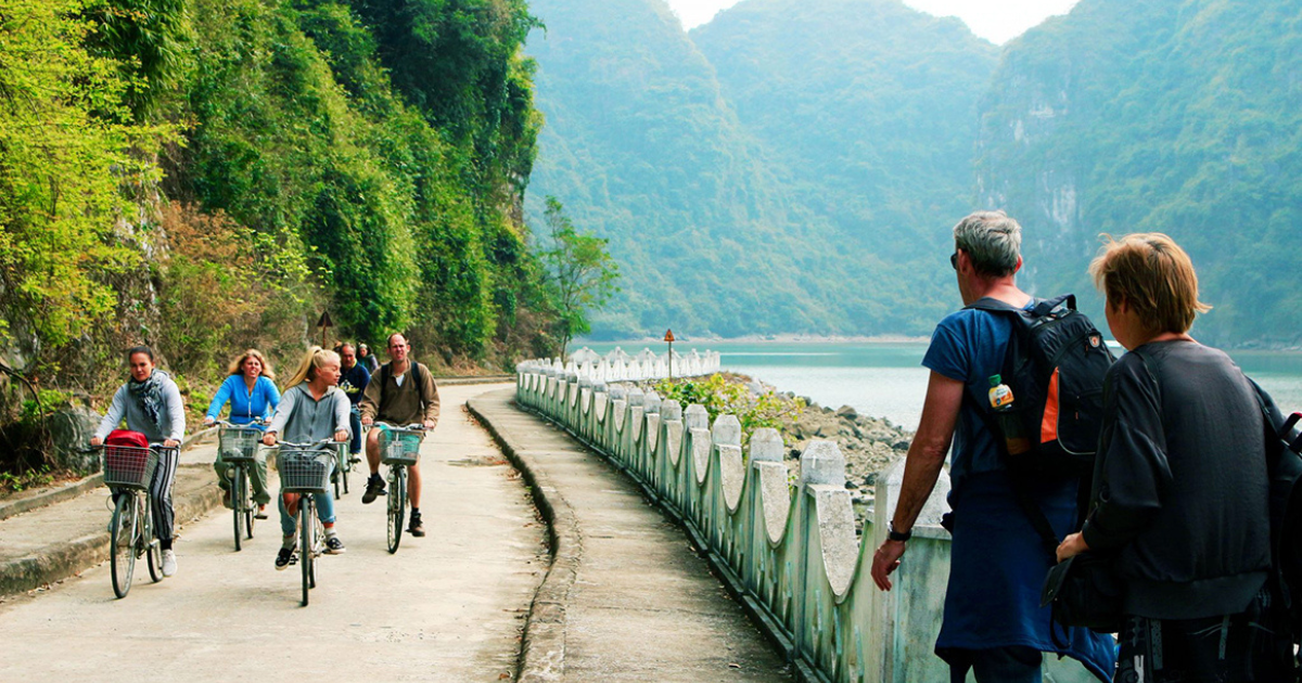 Cyclists and walkers on a coastal road through Cat Ba National Park.