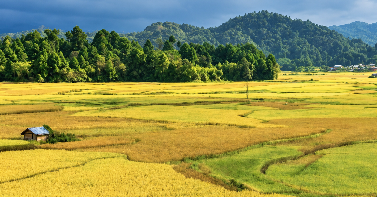 North East India Tour