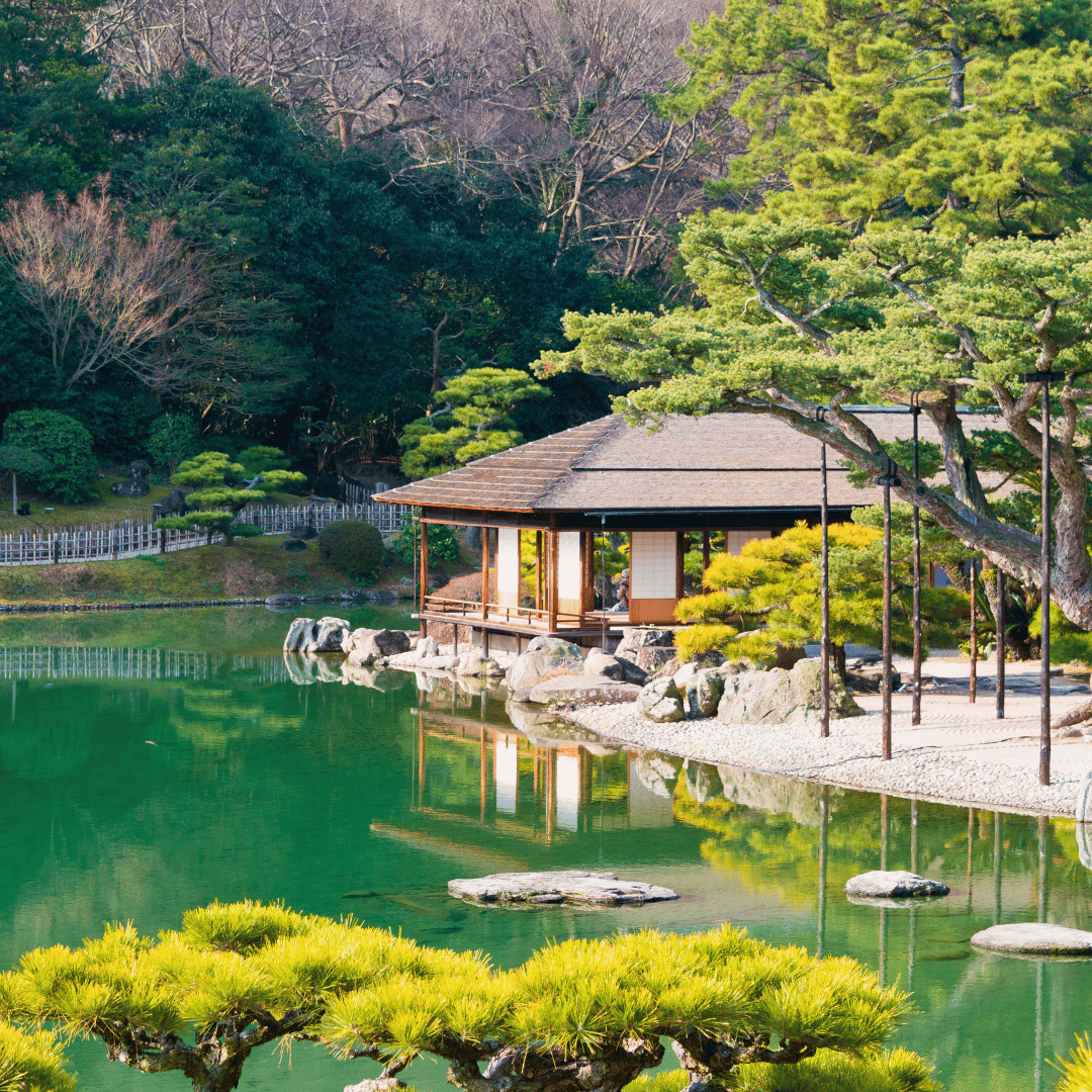 Japanese Hidden Gems 2.png
