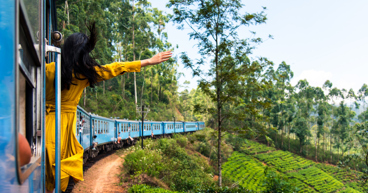 Blue hill country train on the line between Kandy and Nanu Oya passing through tea estates