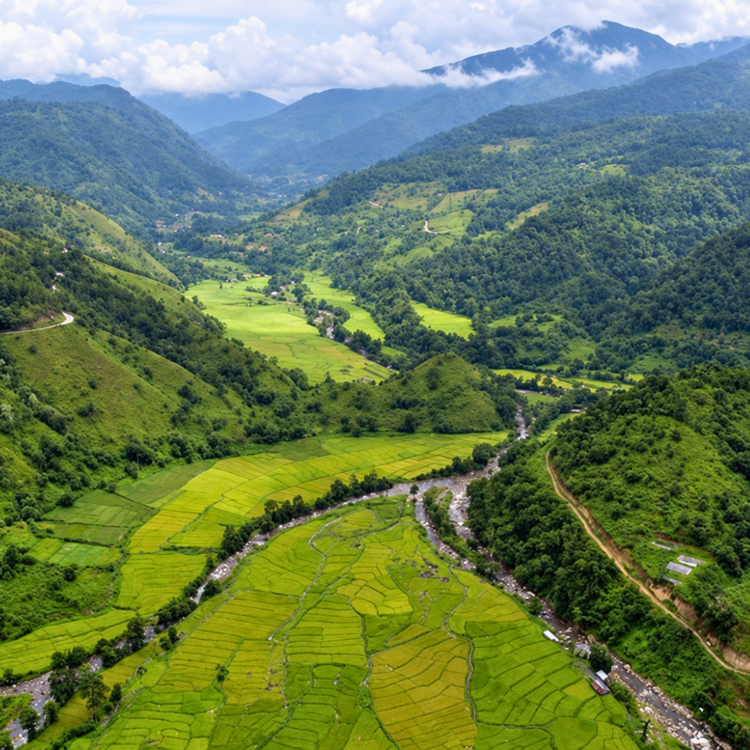 Ziro Valley.png