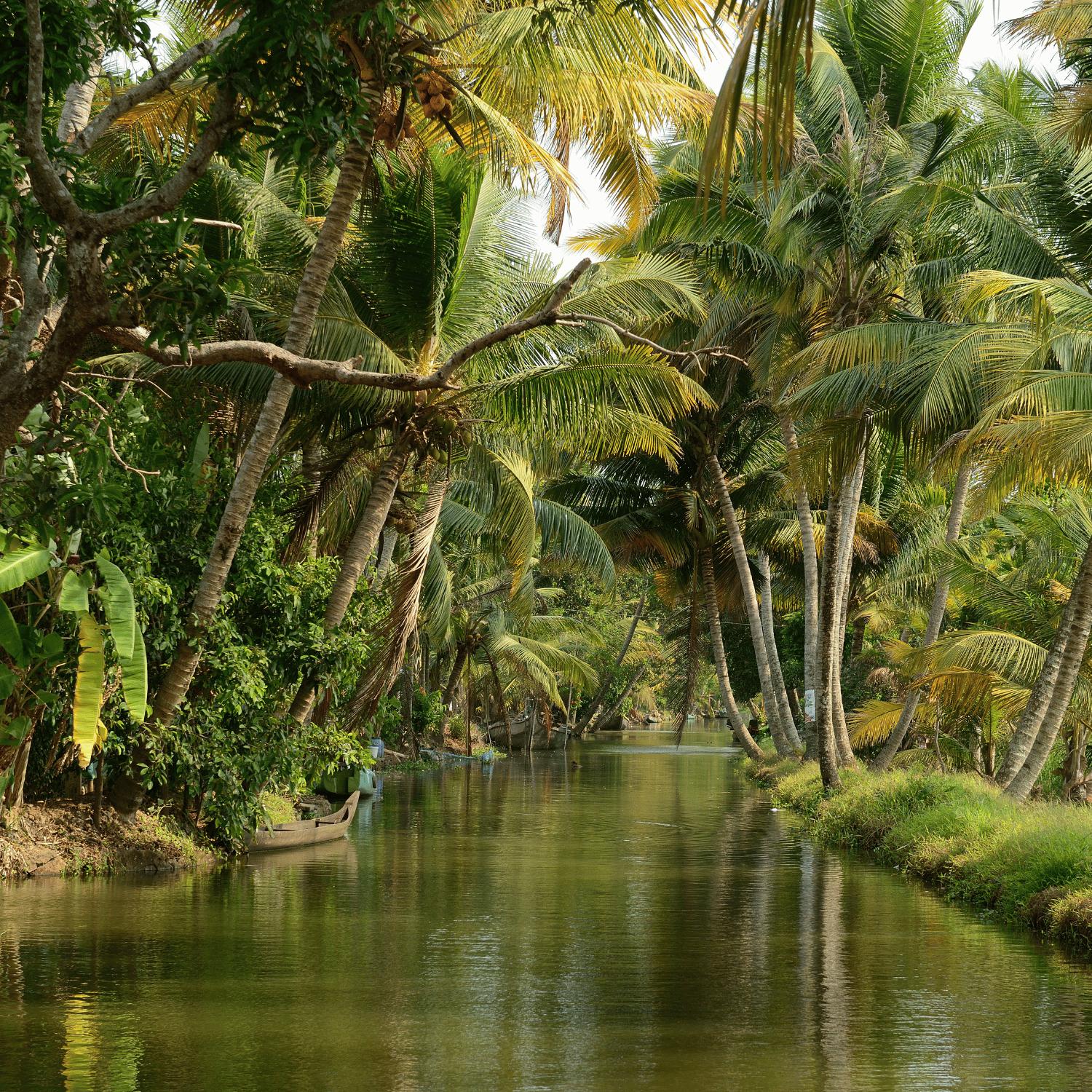 South India Small Group Tour