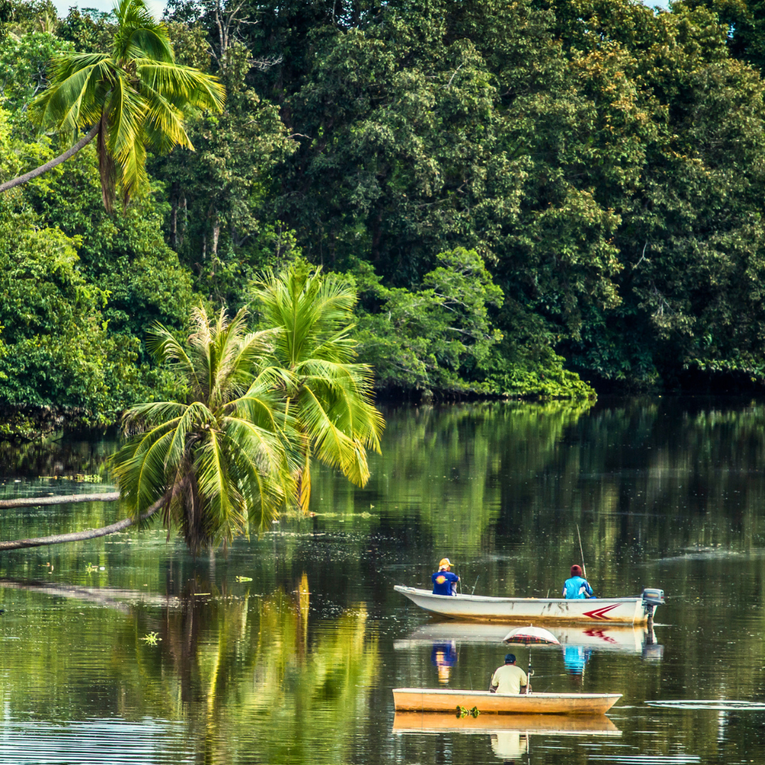 Wildlife Cruise on the Kinabatangan River, Sabah.png