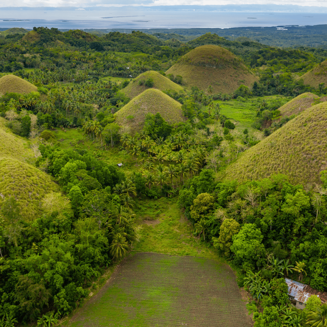 Philippines cultural and wildlife tour featuring Bohol, Apo Island, Siquijor and Cebu