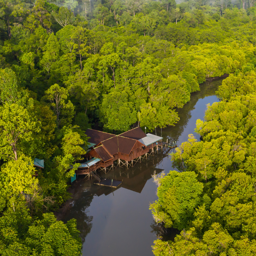Aerial view of a rainforest lodge beside the Kinabatangan River surrounded by dense tropical jungle in Sabah, Malaysian Borneo.