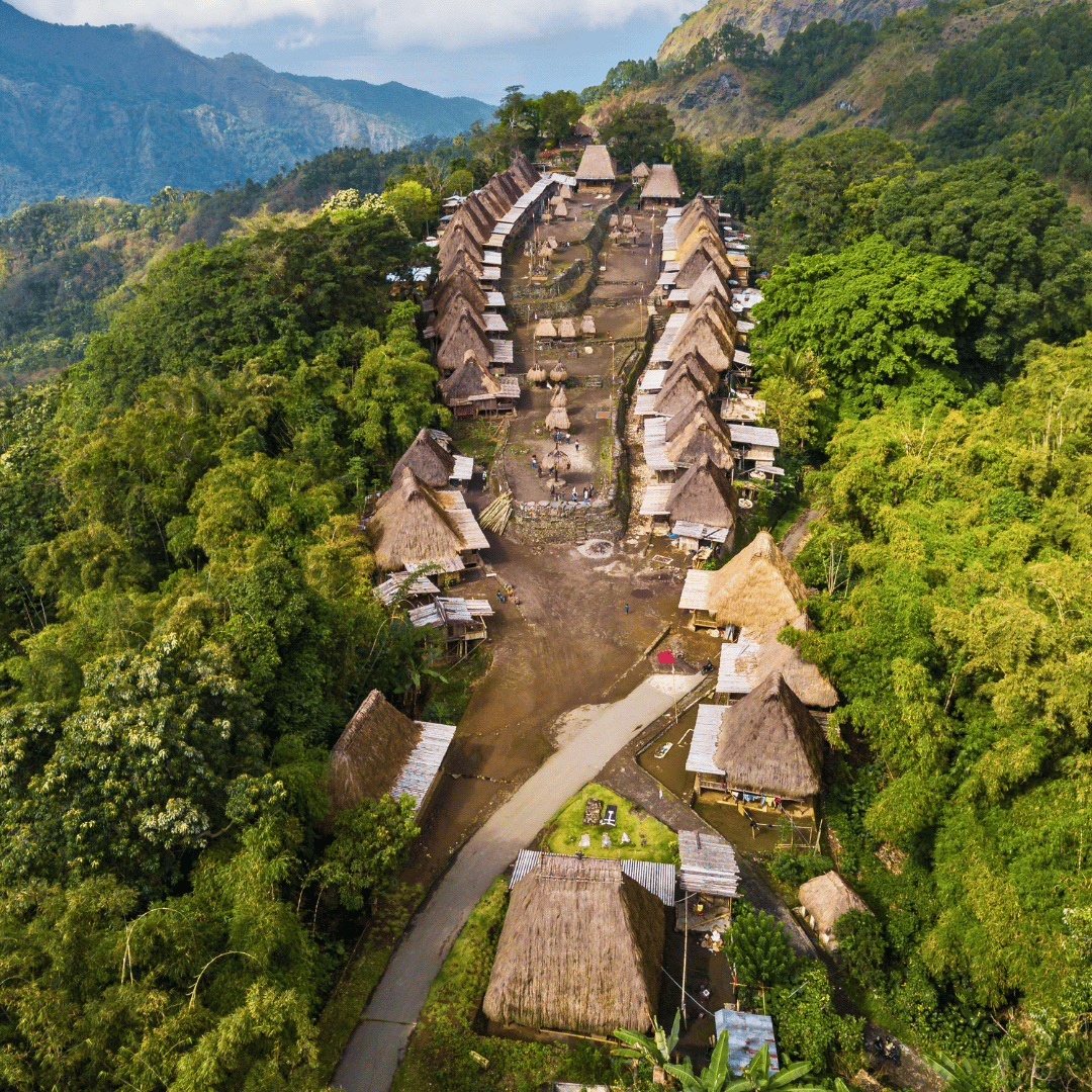 Traditional houses in Bena Village near Bajawa, Flores