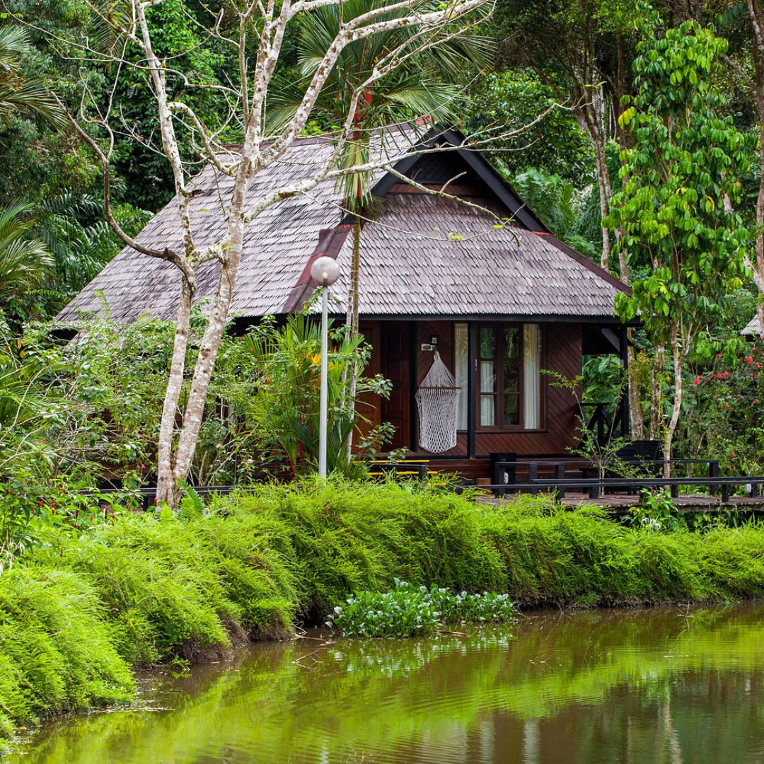 Rainforest lodge surrounded by tropical forest in Malaysian Borneo.