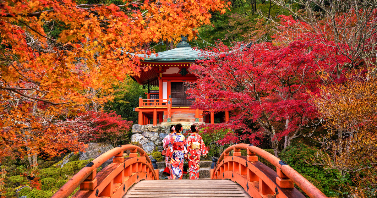 Two geisha in kimono walking across a red bridge towards a temple surrounded by red and orange maple trees