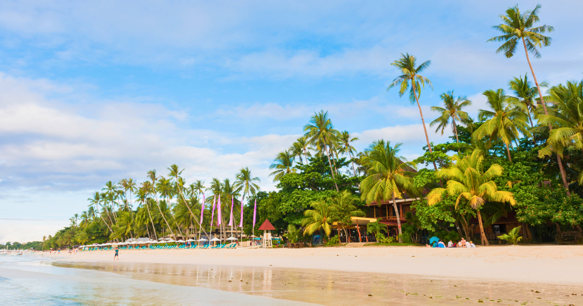 Palm-lined beach in the Visayas in the Philippines