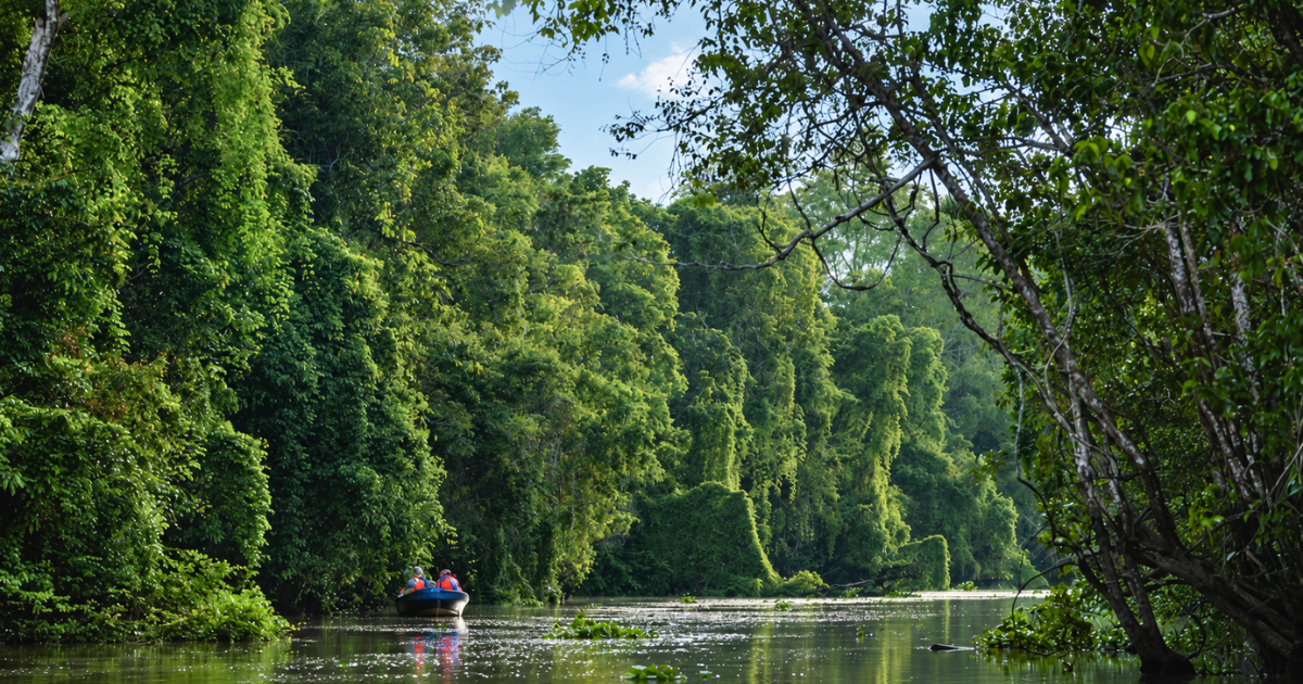 Travellers wearing life jackets in a small motorboat on a river bordered by dense forest.